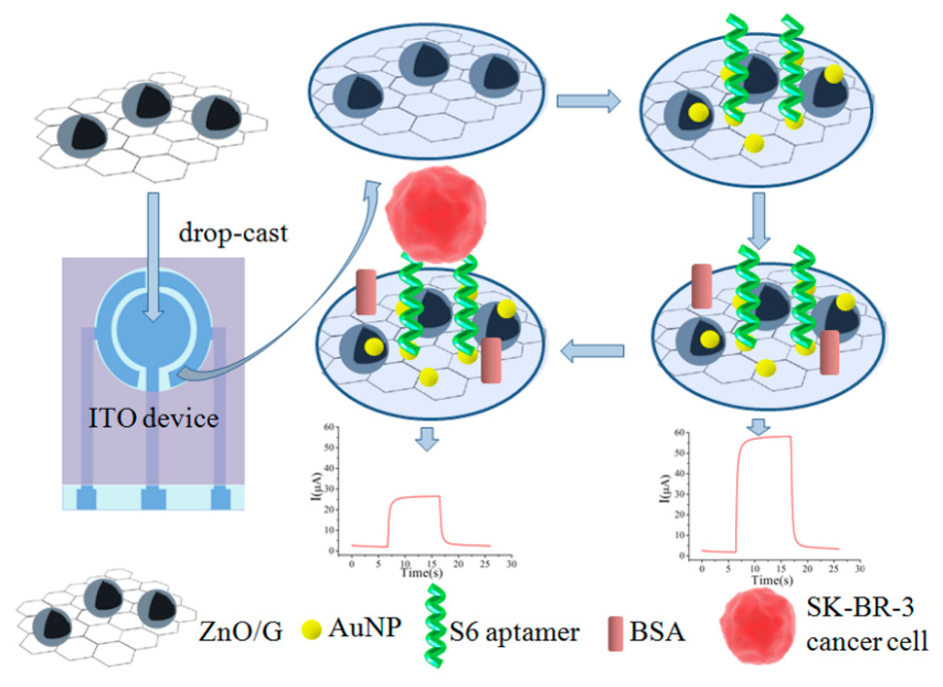 Detection and Characterization of Cancer Cells and