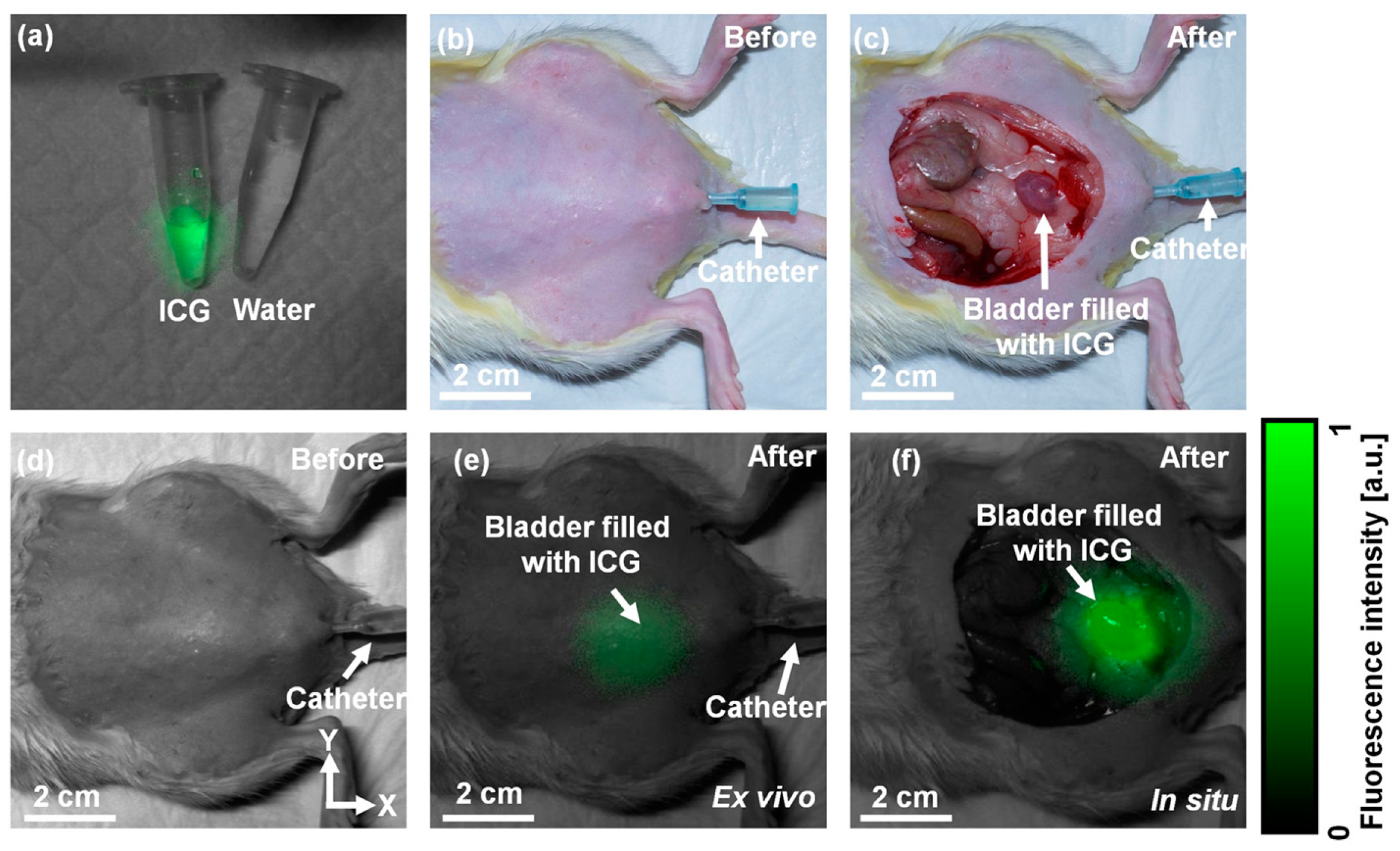 Sensors 14 19660f4 1024