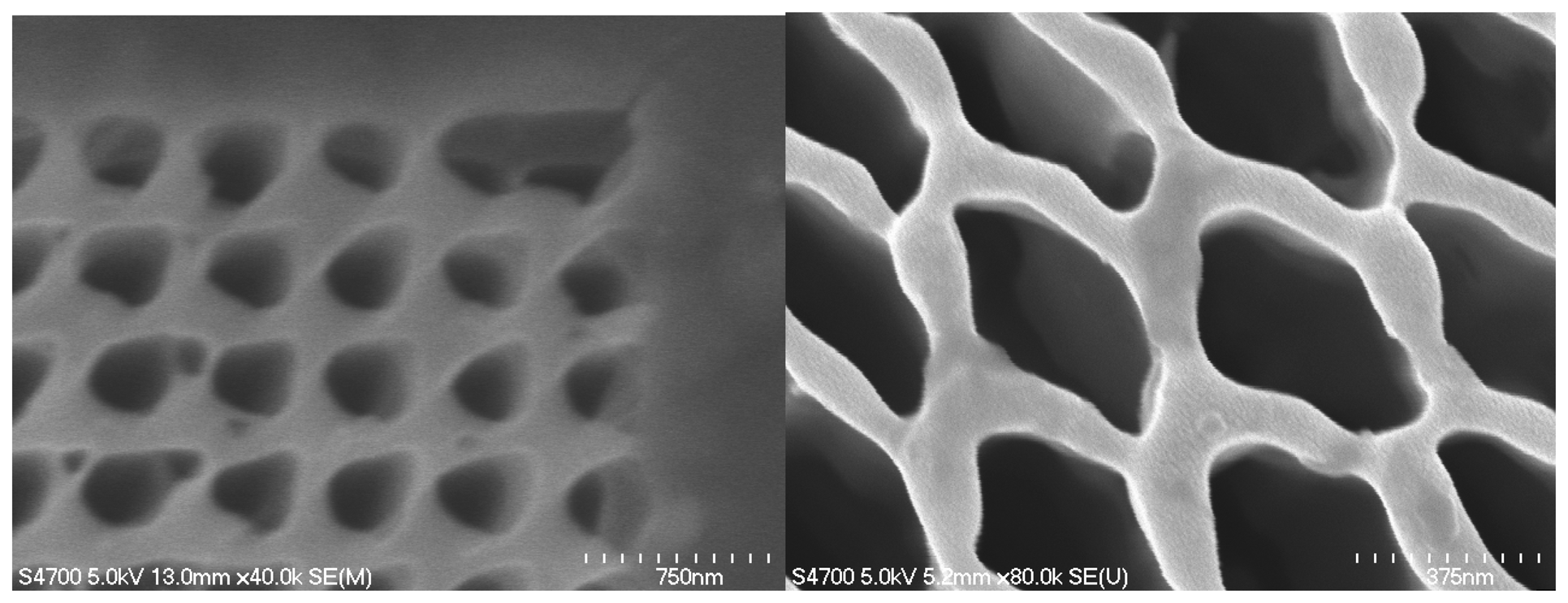 Sensors | Free Full-Text | Recent Advances in the Field of 