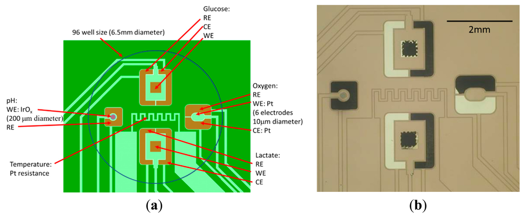 Sensors 14 20519f1 1024