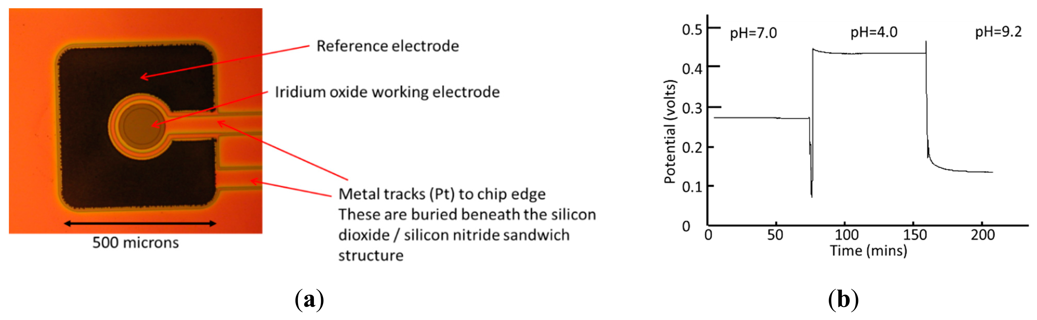 Sensors 14 20519f3 1024