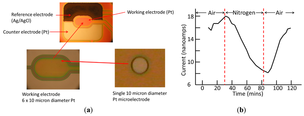 Sensors 14 20519f4 1024