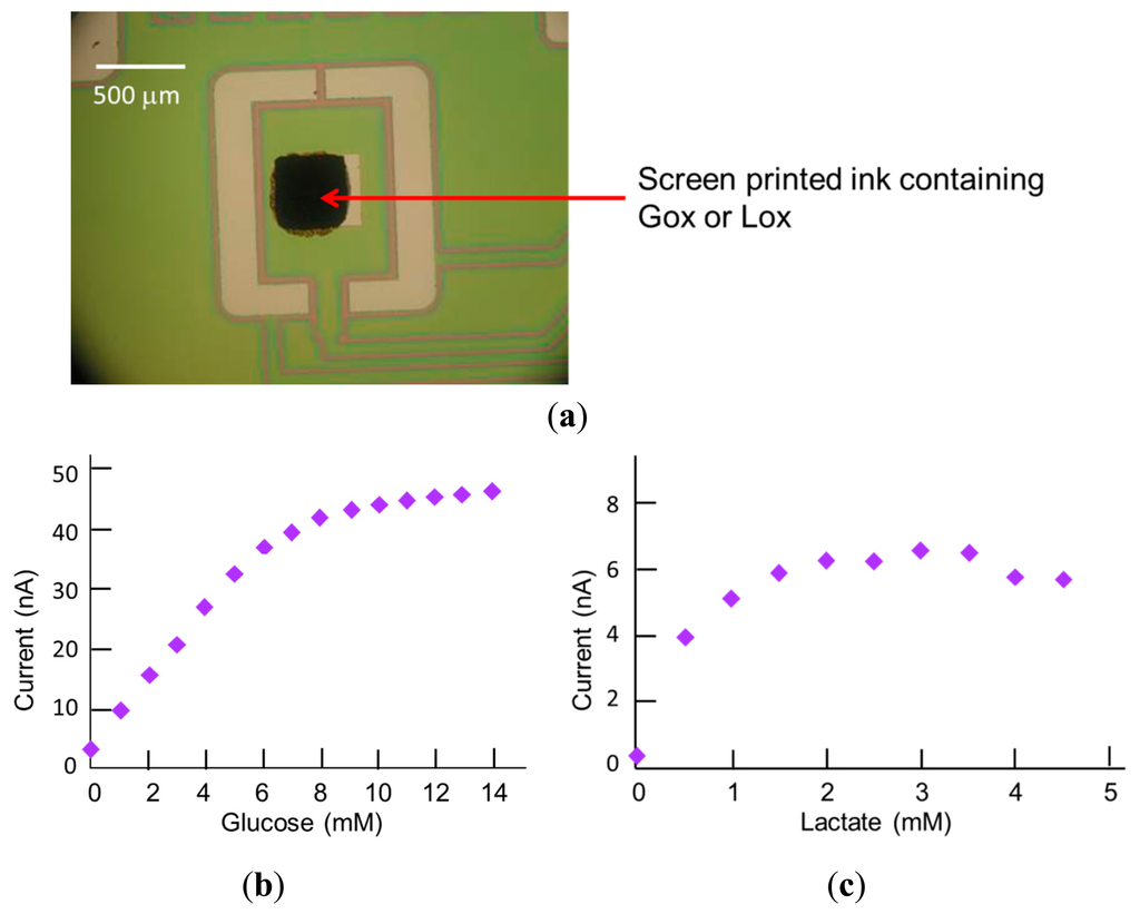 Sensors 14 20519f5 1024