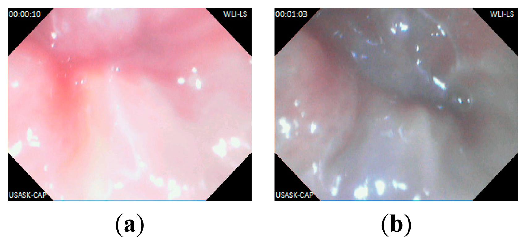 Sensors 14 20779f11 1024