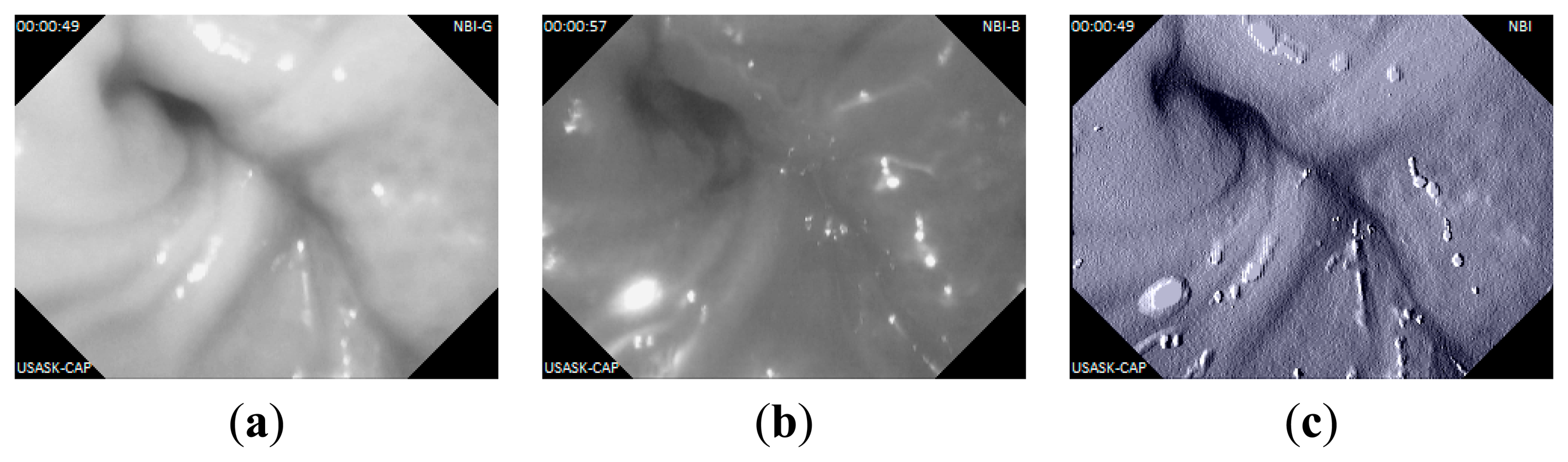 Sensors 14 20779f12 1024