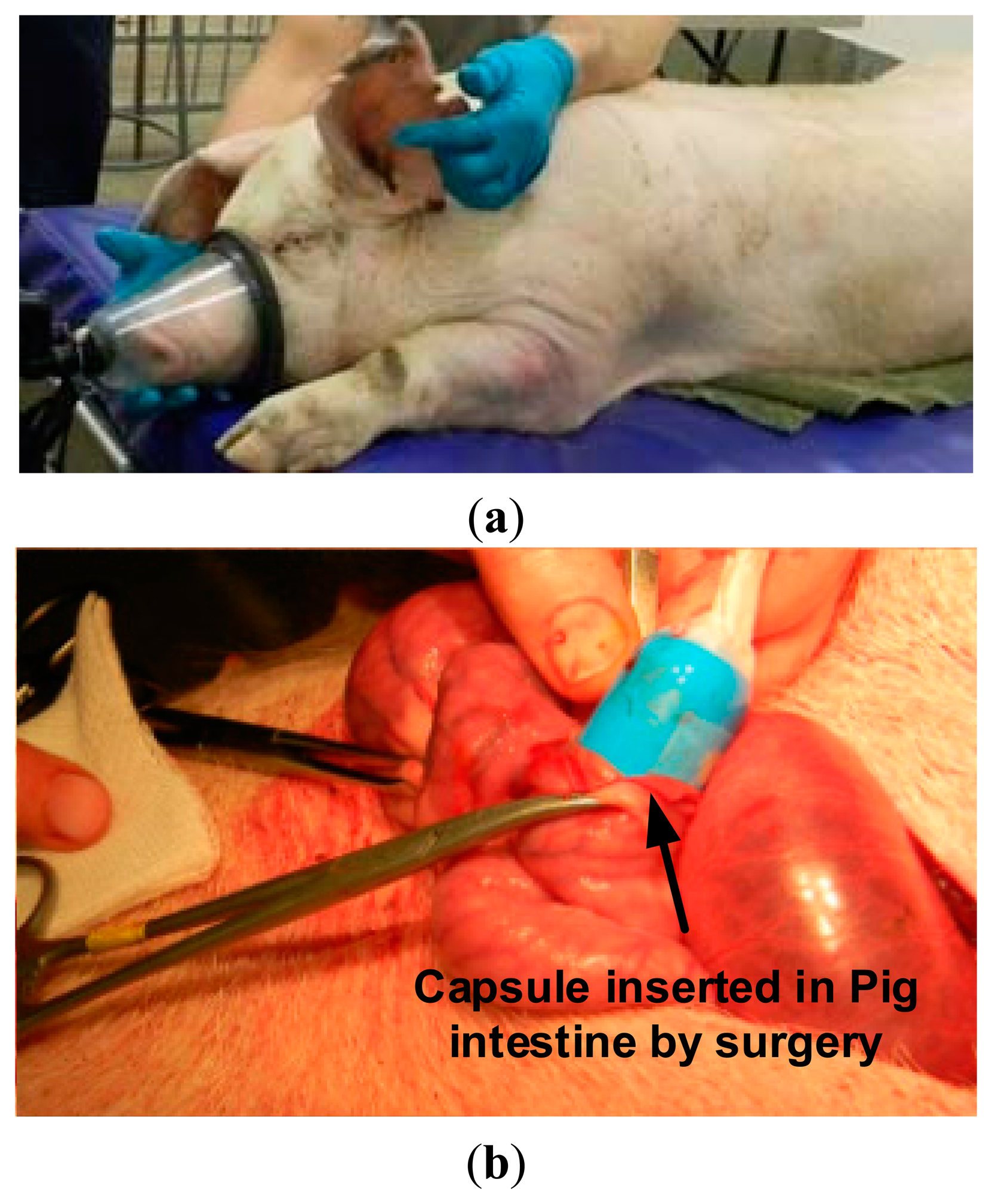 Sensors 14 20779f13 1024
