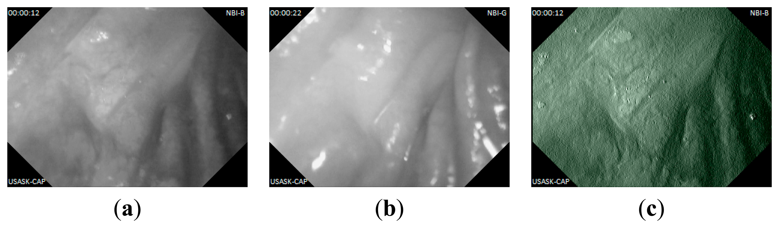 Sensors 14 20779f15 1024