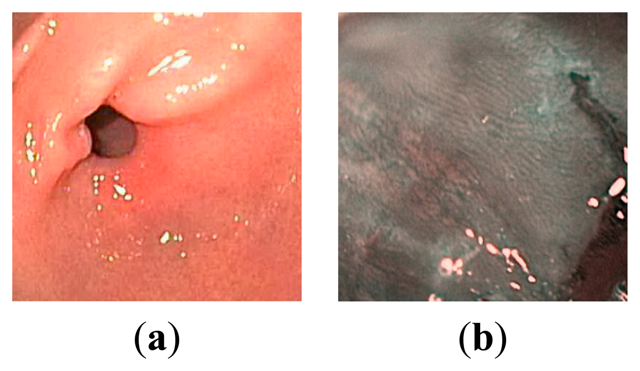 Sensors 14 20779f3 1024