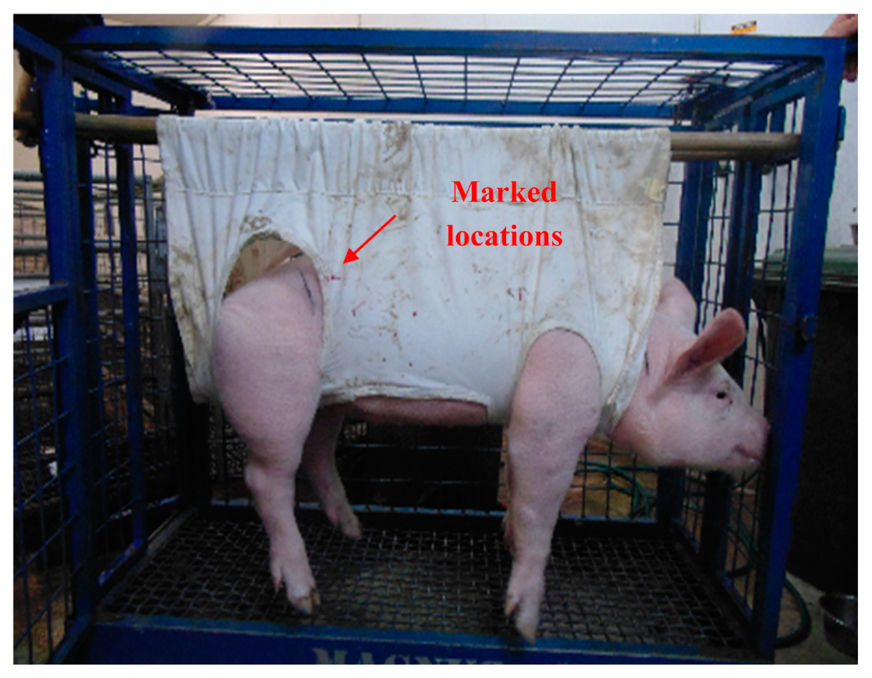 Sensors 14 20910f16 1024