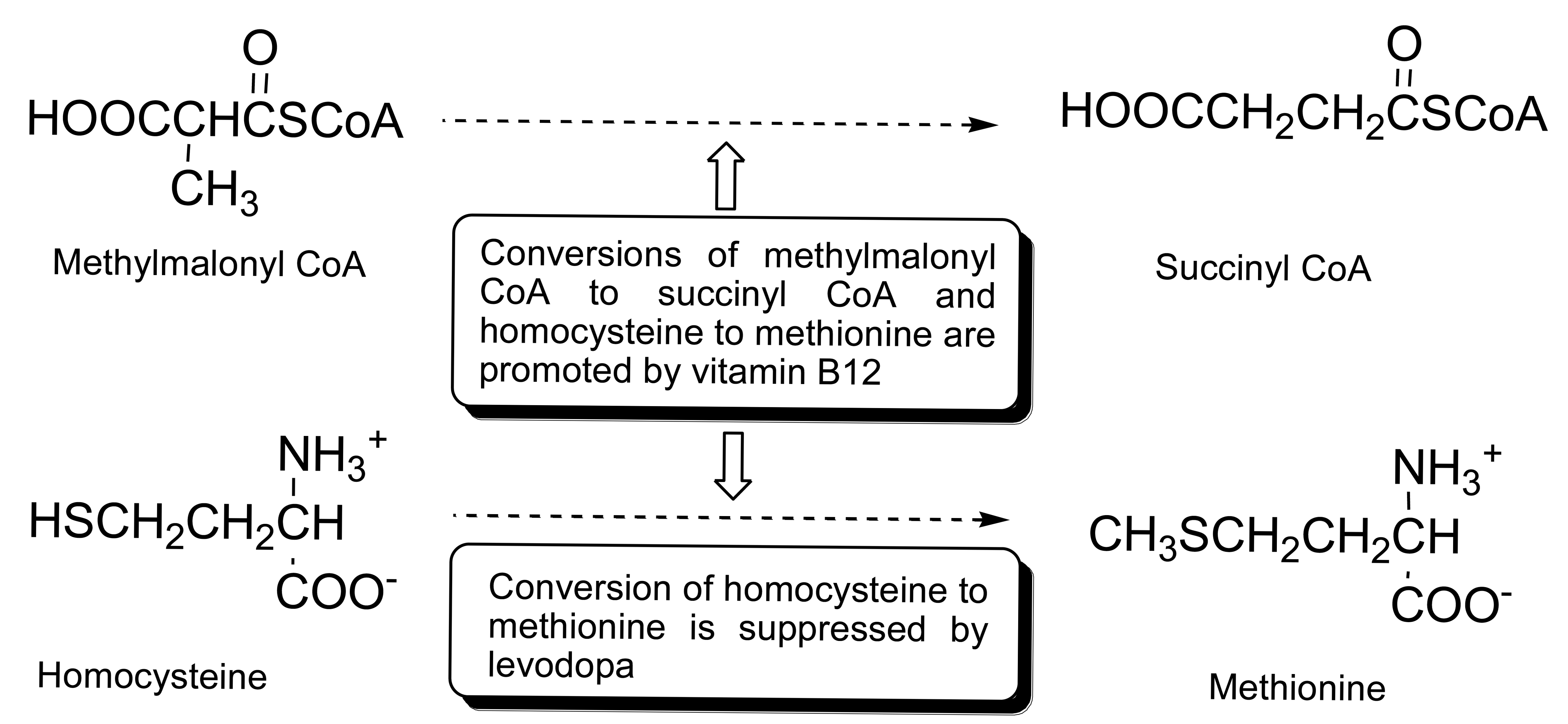 Sensors 14 21140f3 1024