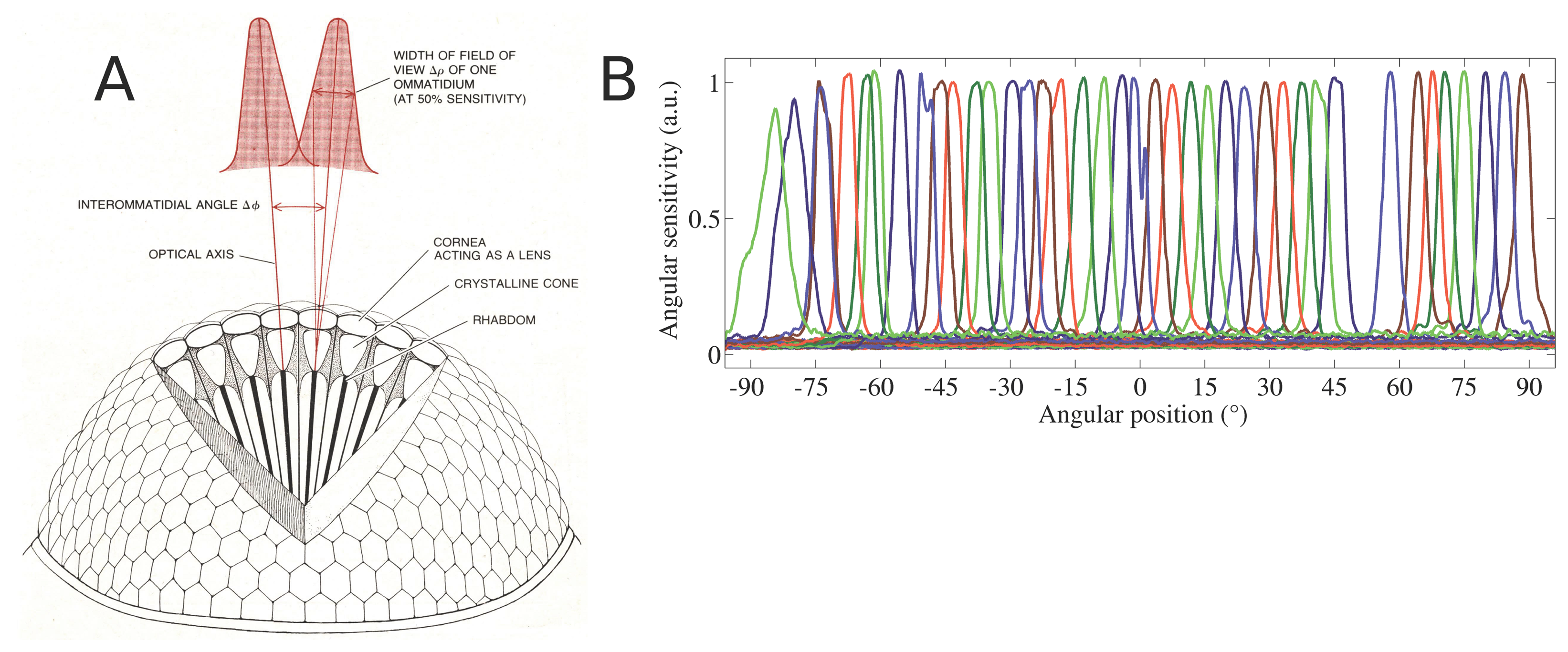 Sensors 14 21702f7 1024
