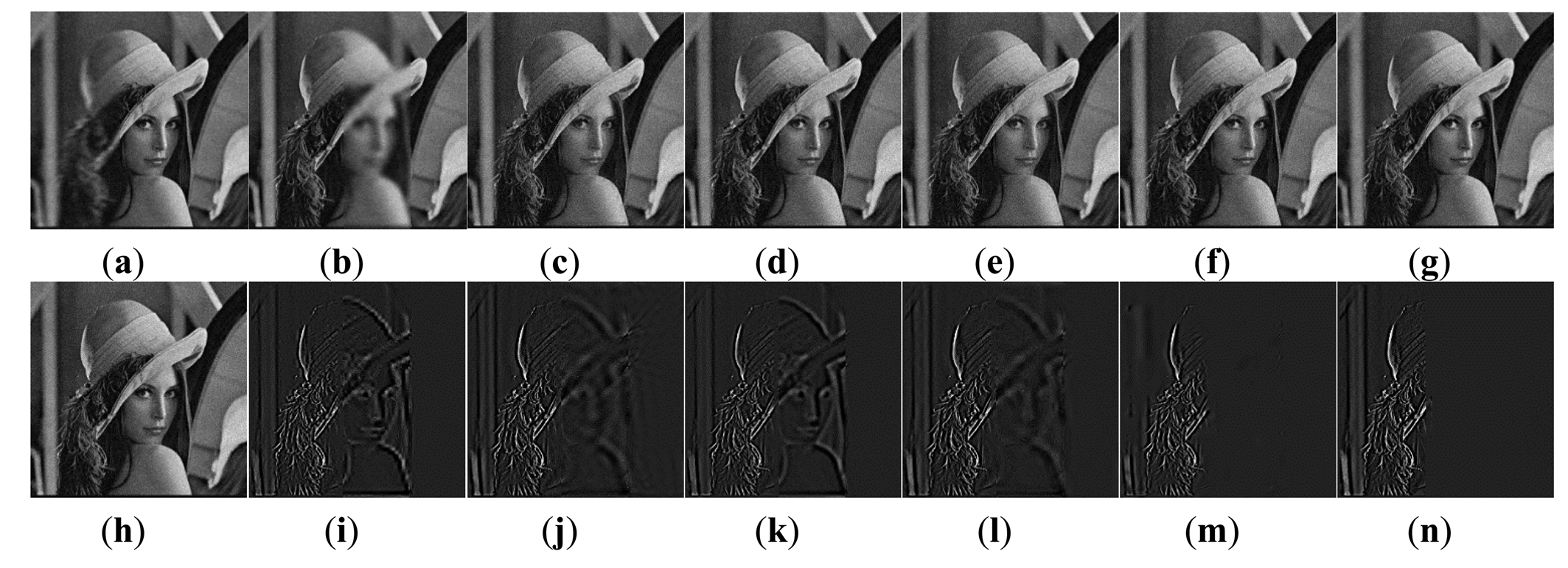 Dual-Tree Complex Wavelet Transform and Image Block Residual-Based ...