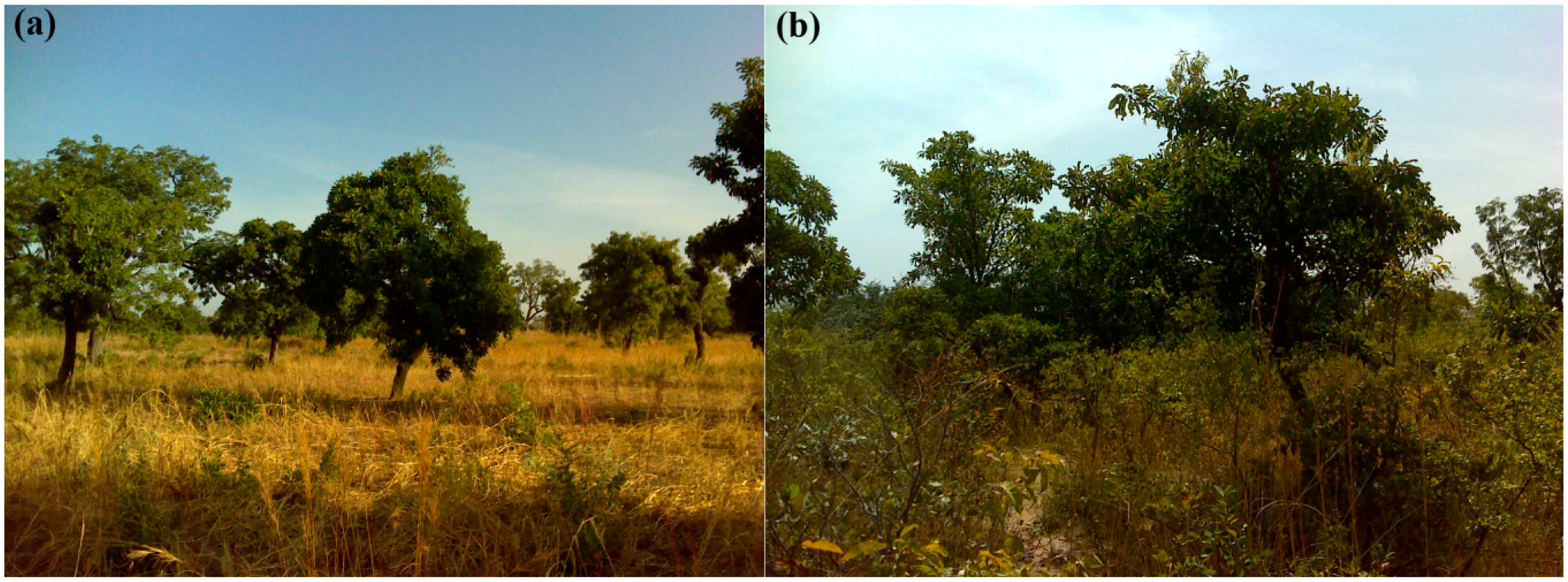 Sensors 14 22643f2 1024