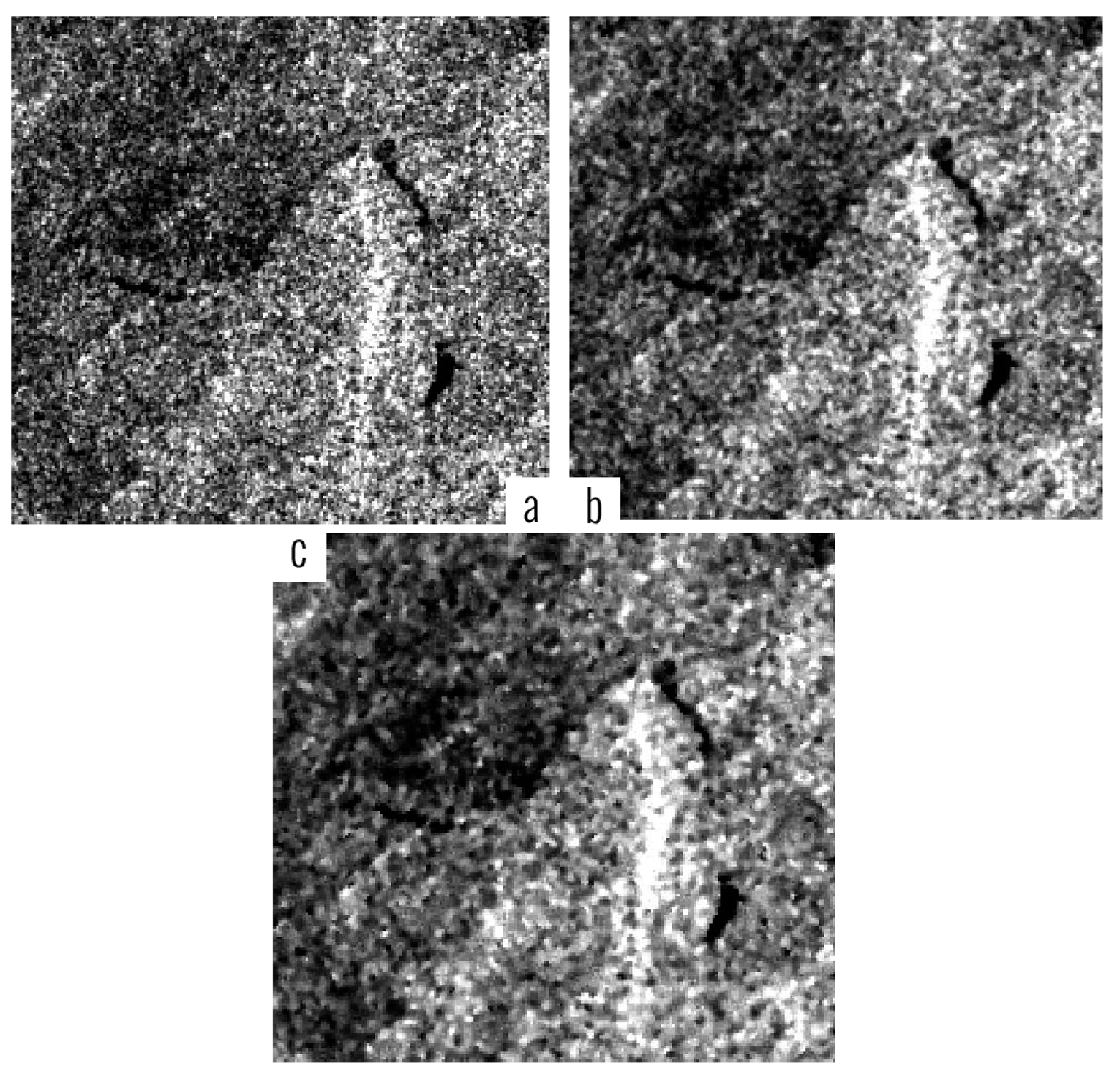 Sensors 14 22798f2 1024