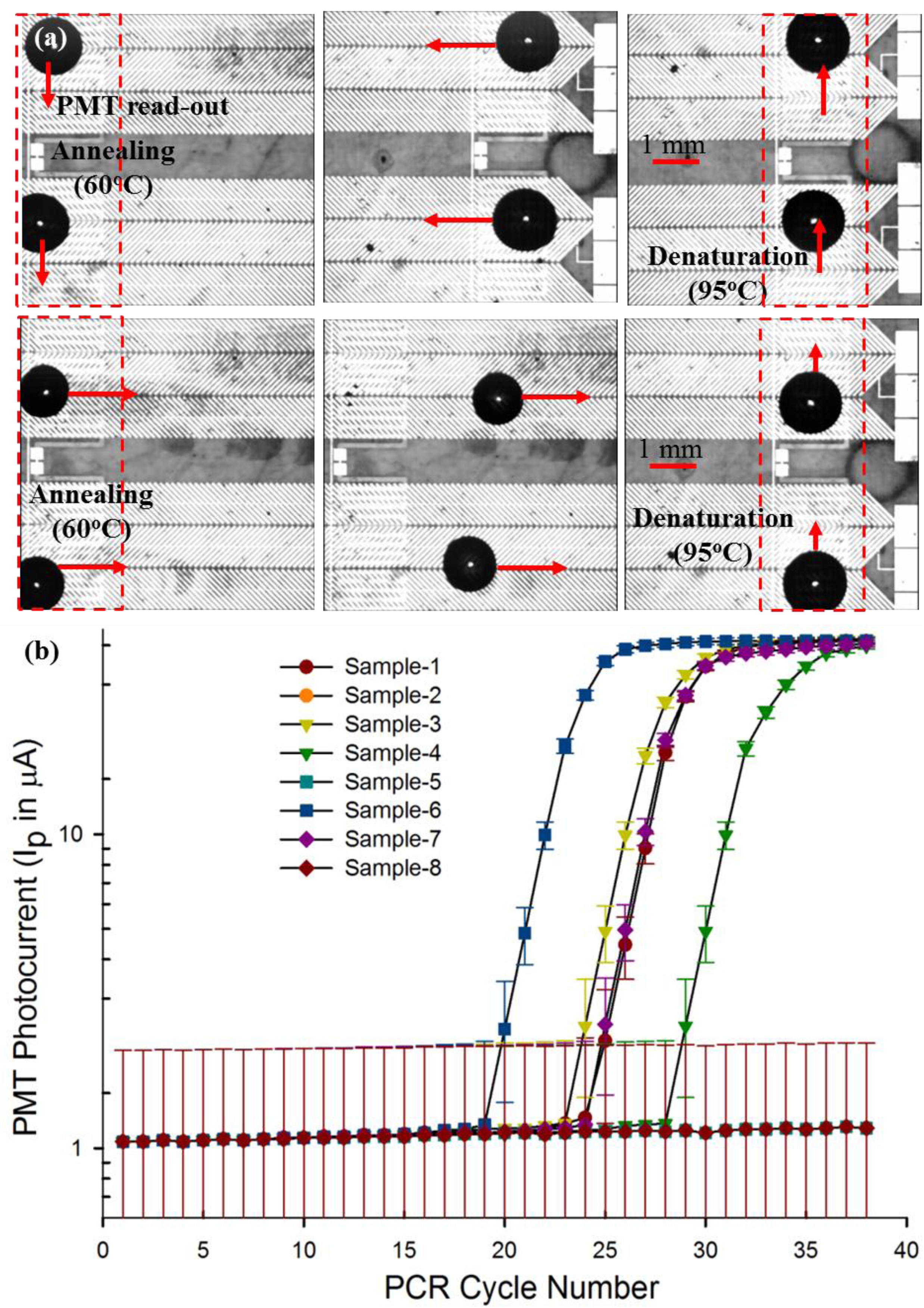 Sensors 14 23283f5 1024