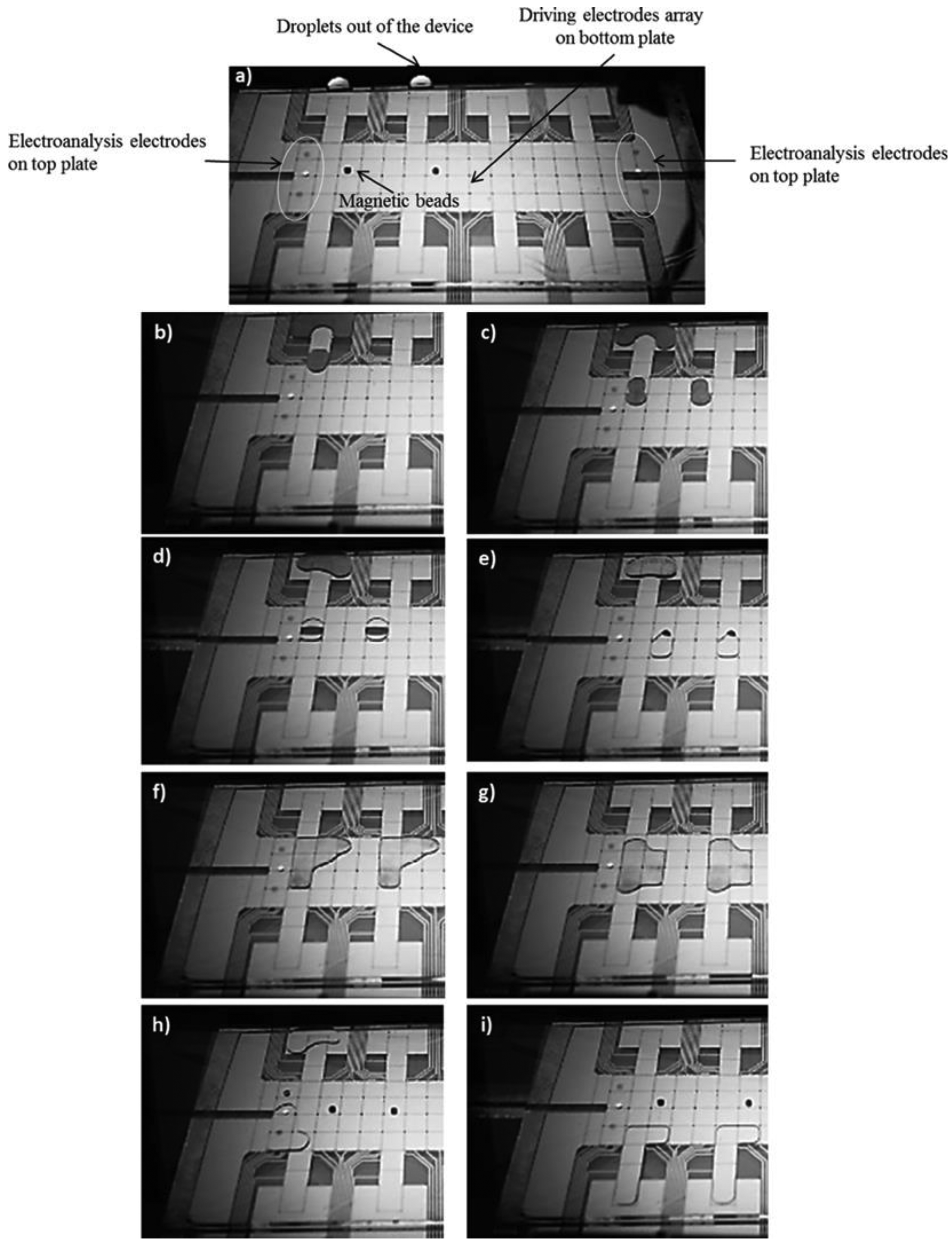 Sensors 14 23283f6 1024