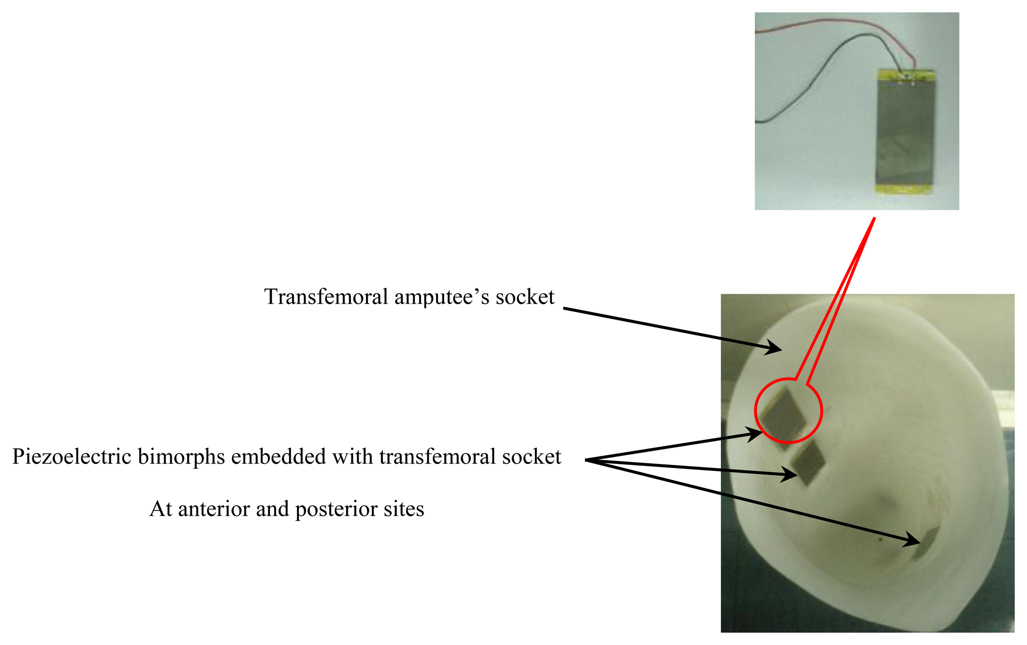 Sensors 14 23724f5 1024