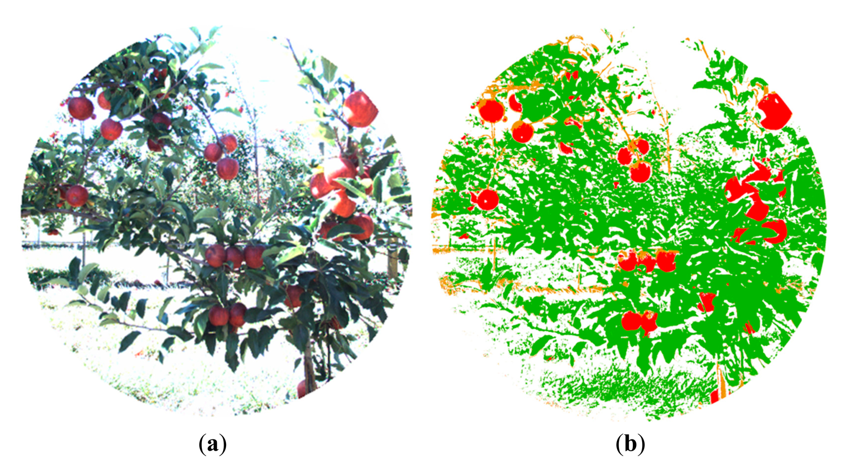 Sensors 14 23885f5 1024