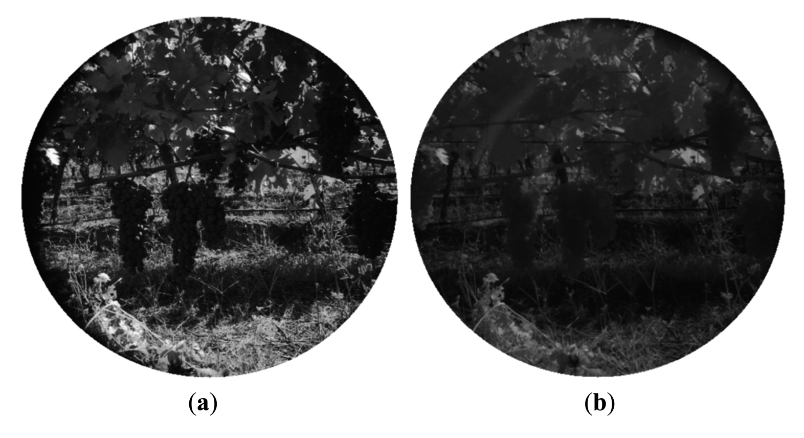 Sensors 14 23885f7 1024