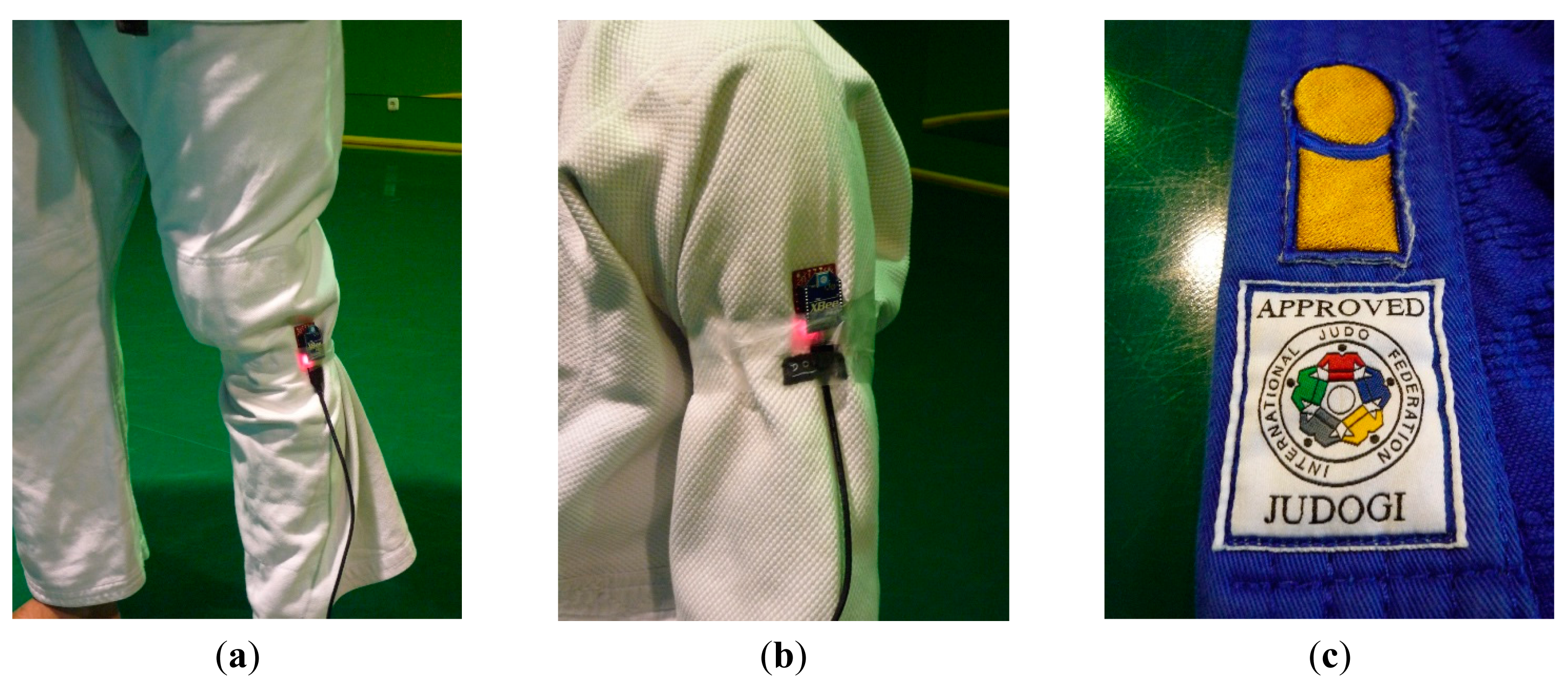 Sensors 14 24004f4 1024