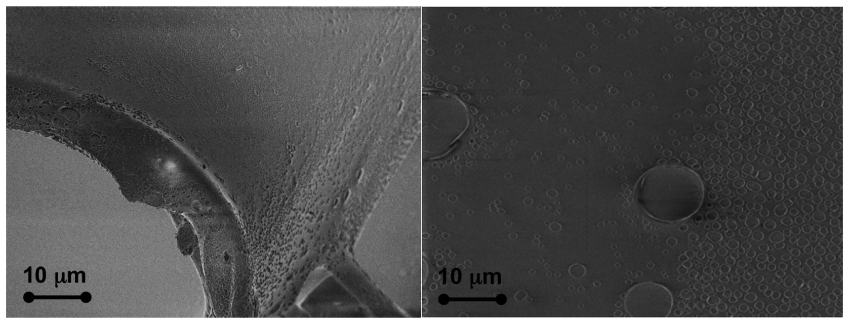 Sensors 15 00485f3 1024