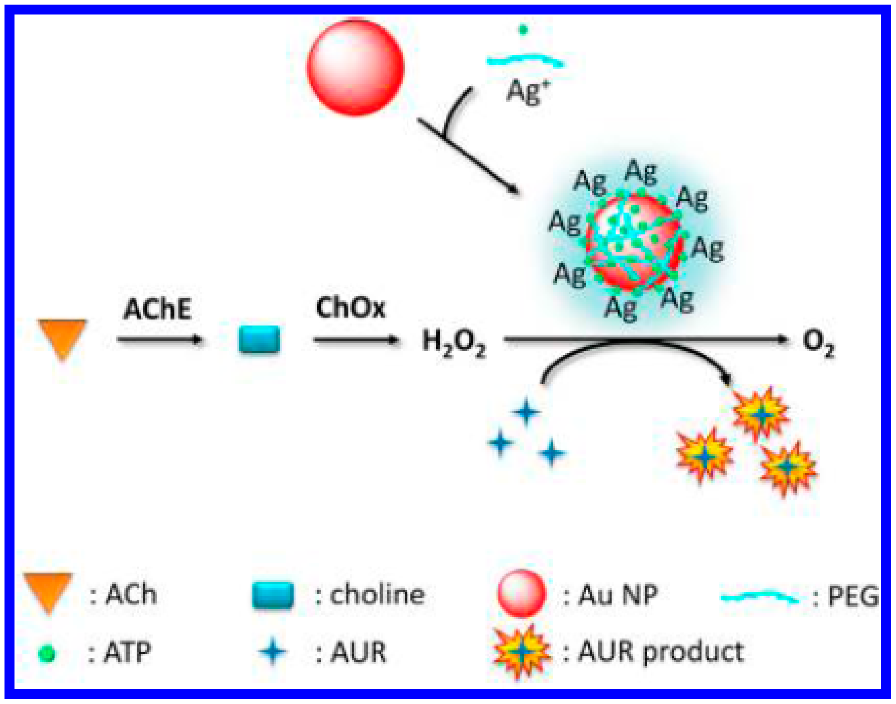 Sensors 15 00499f8 1024