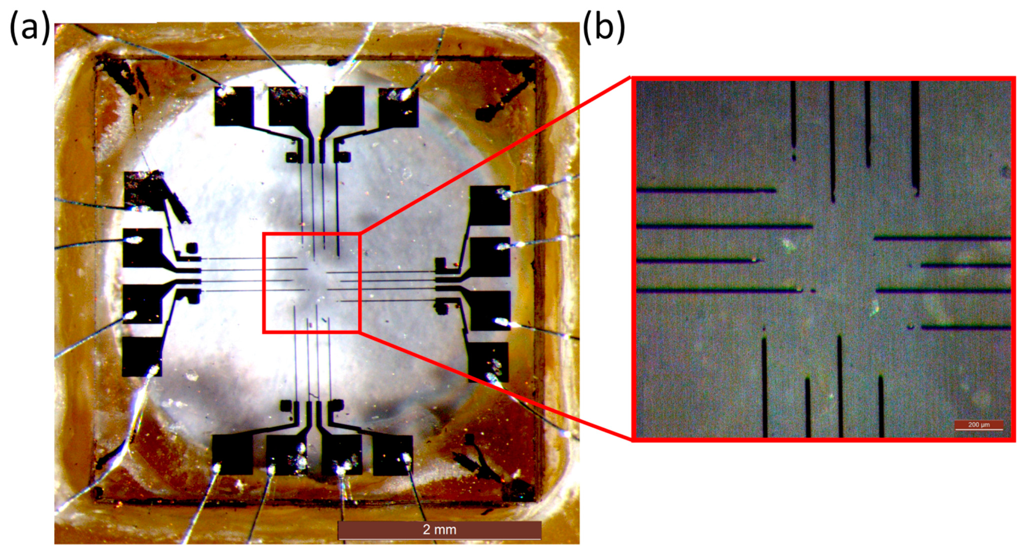 Sensors 15 00515f2 1024