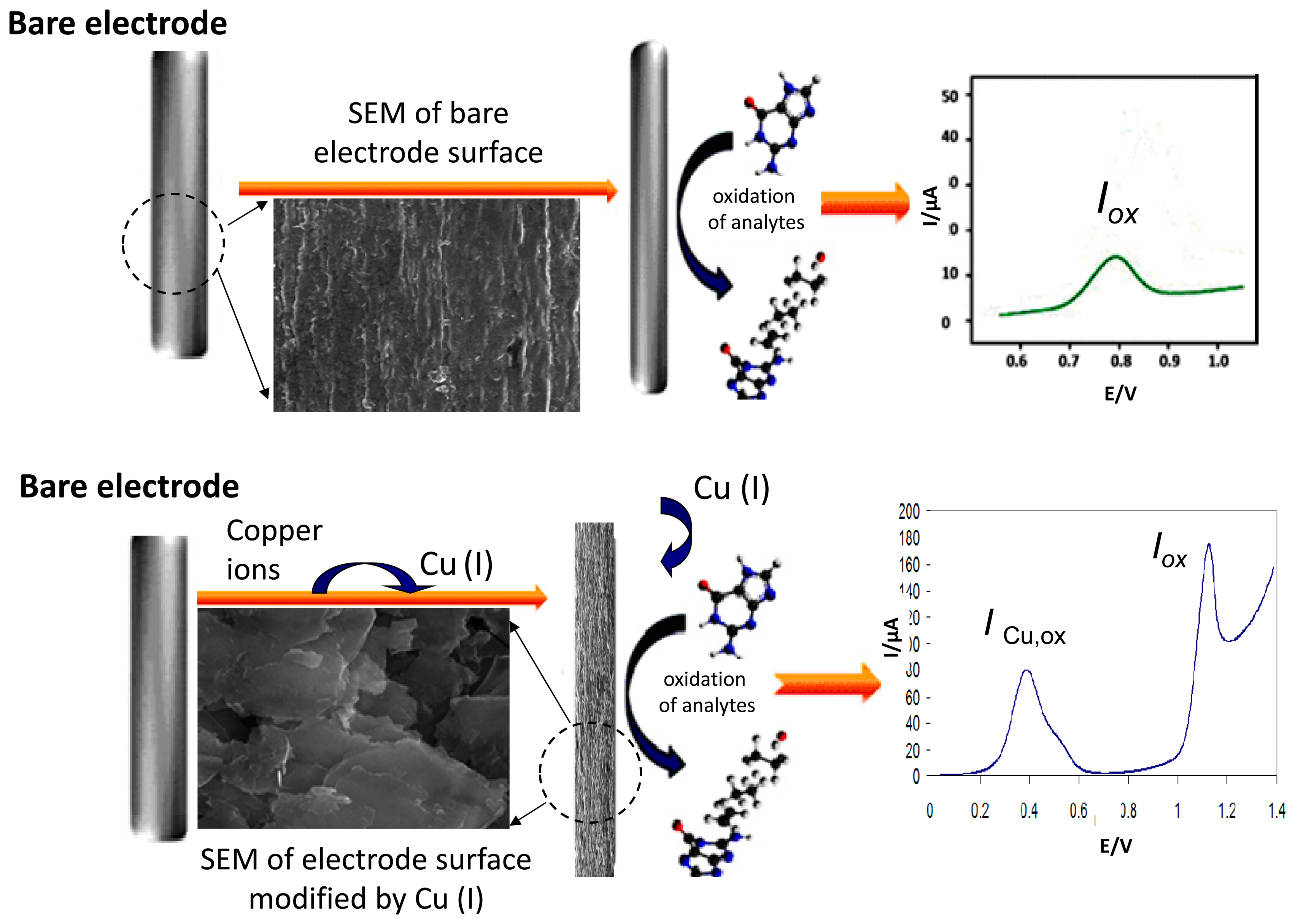 Sensors 15 01564f5 1024