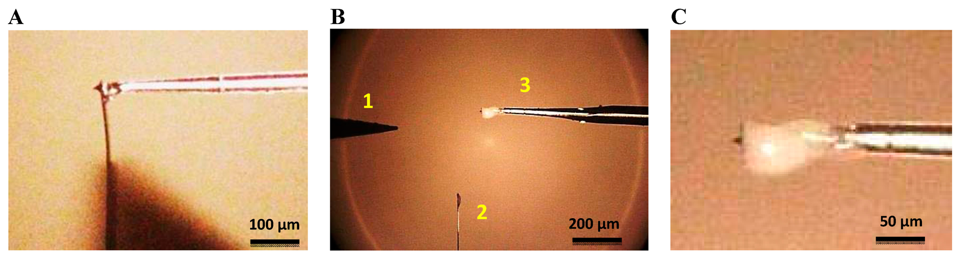 Sensors 15 01601f3 1024