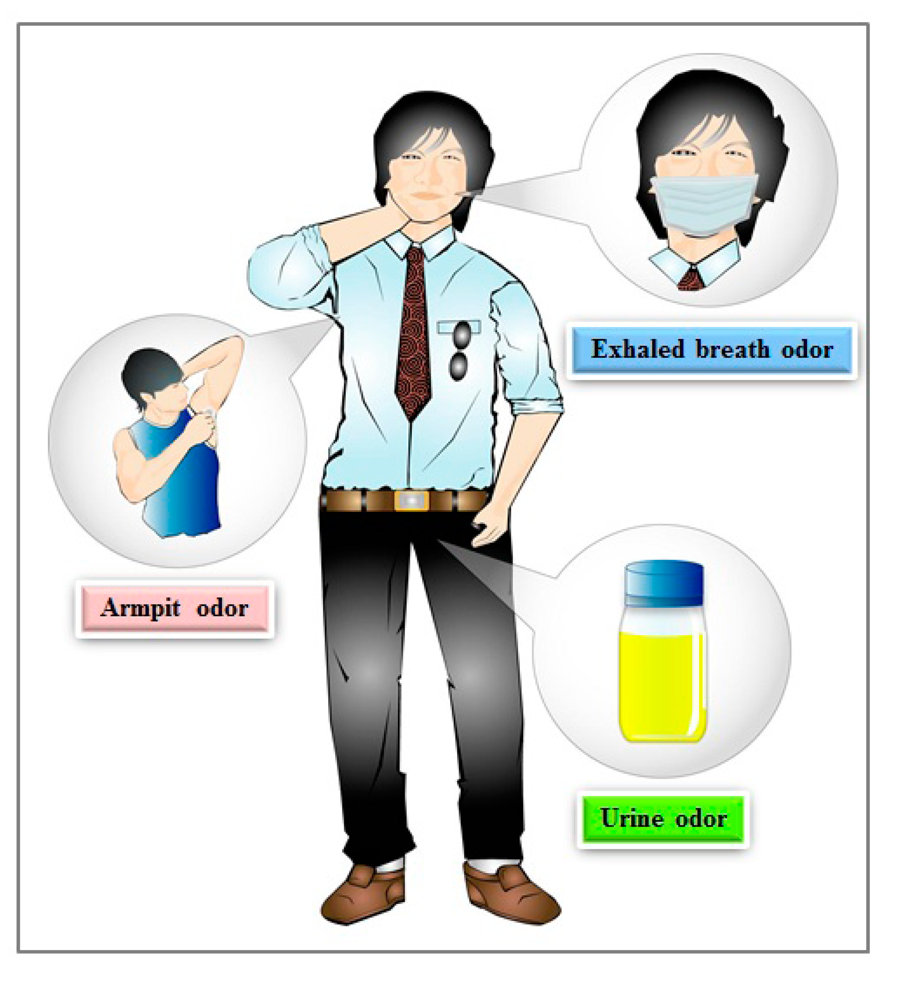 Sensors 15 01885f3 1024