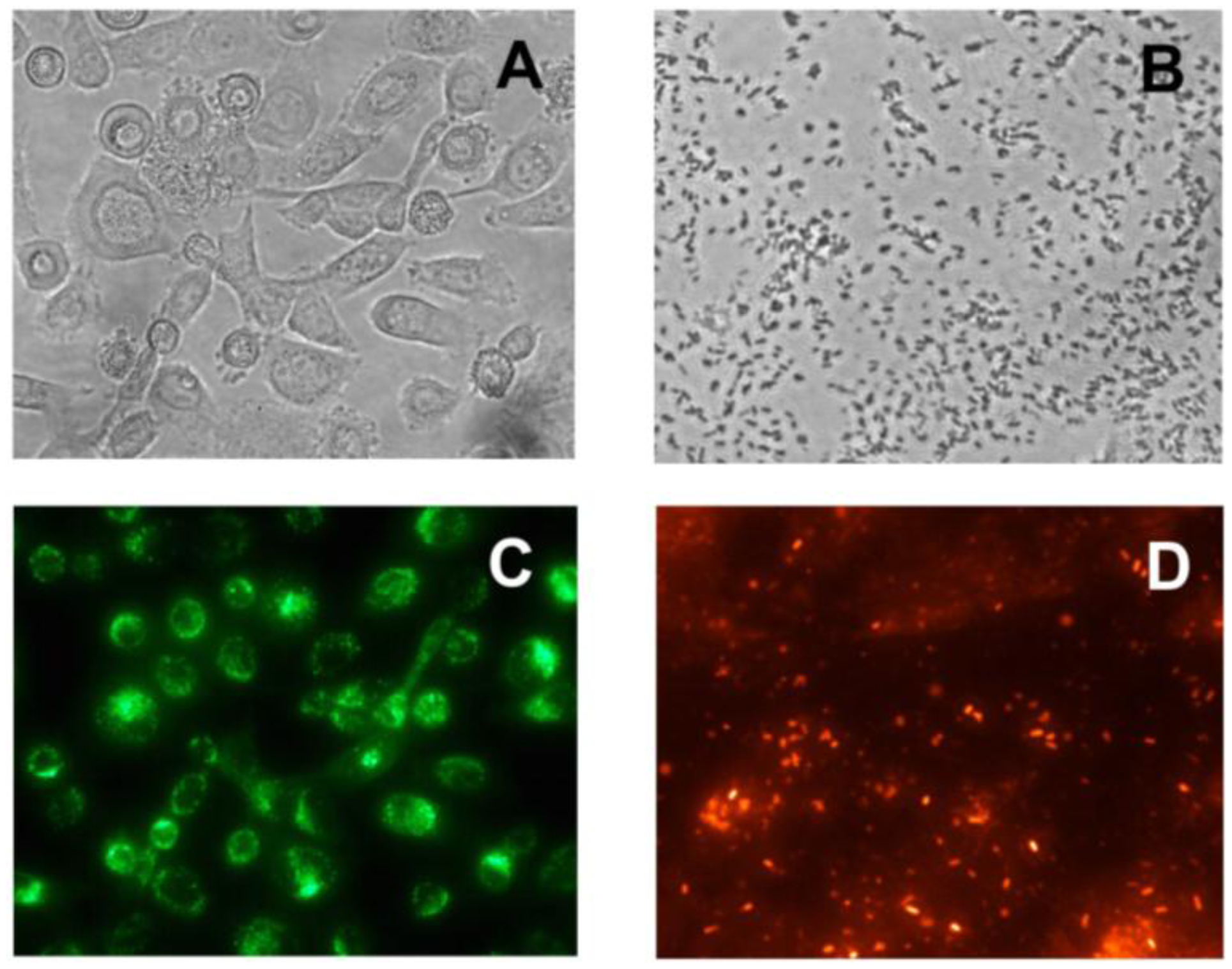 Sensors 15 01945f2 1024