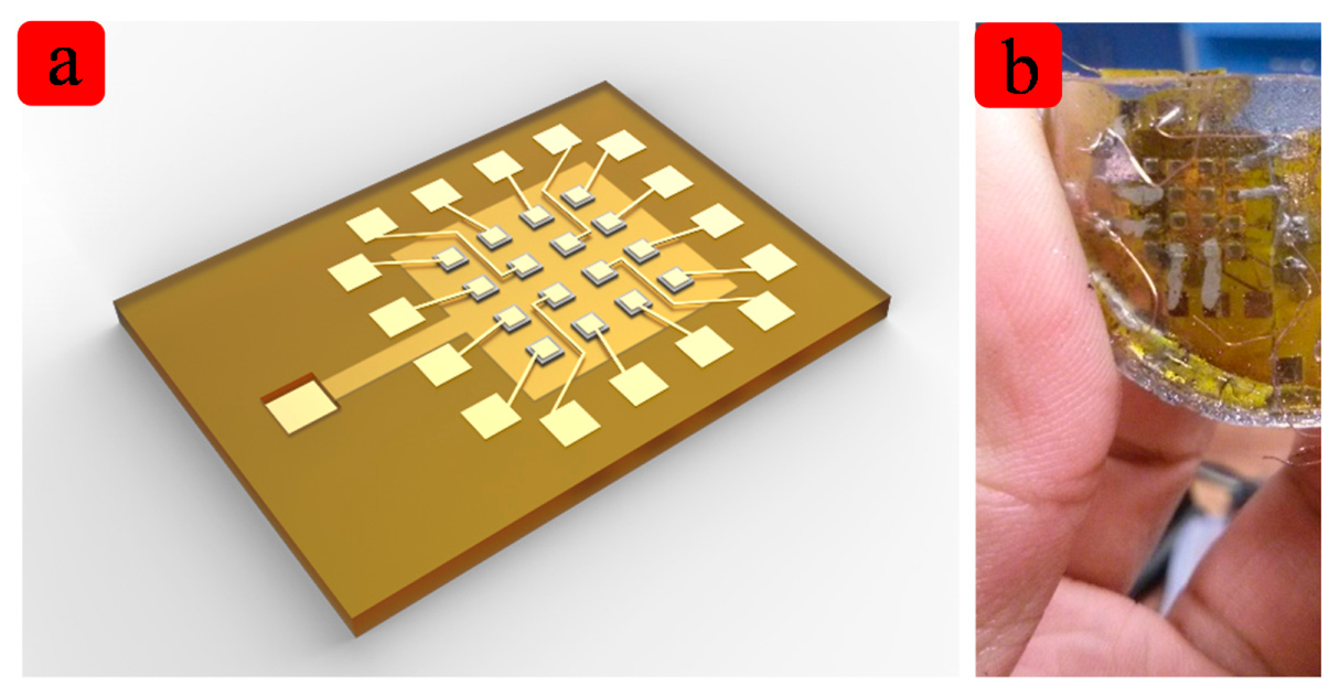 Sensors 15 02538f1 1024