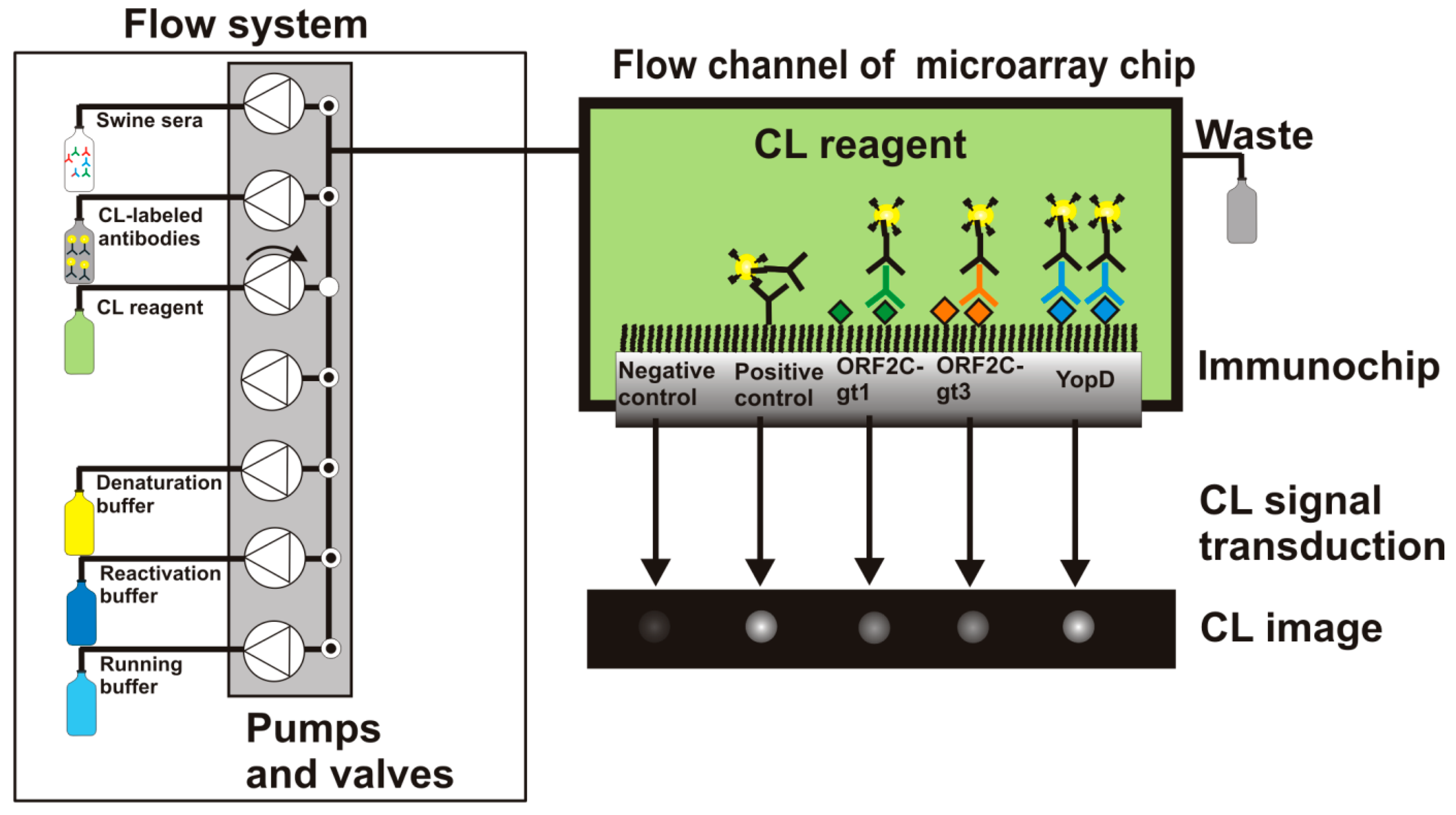 Sensors 15 02614f2 1024