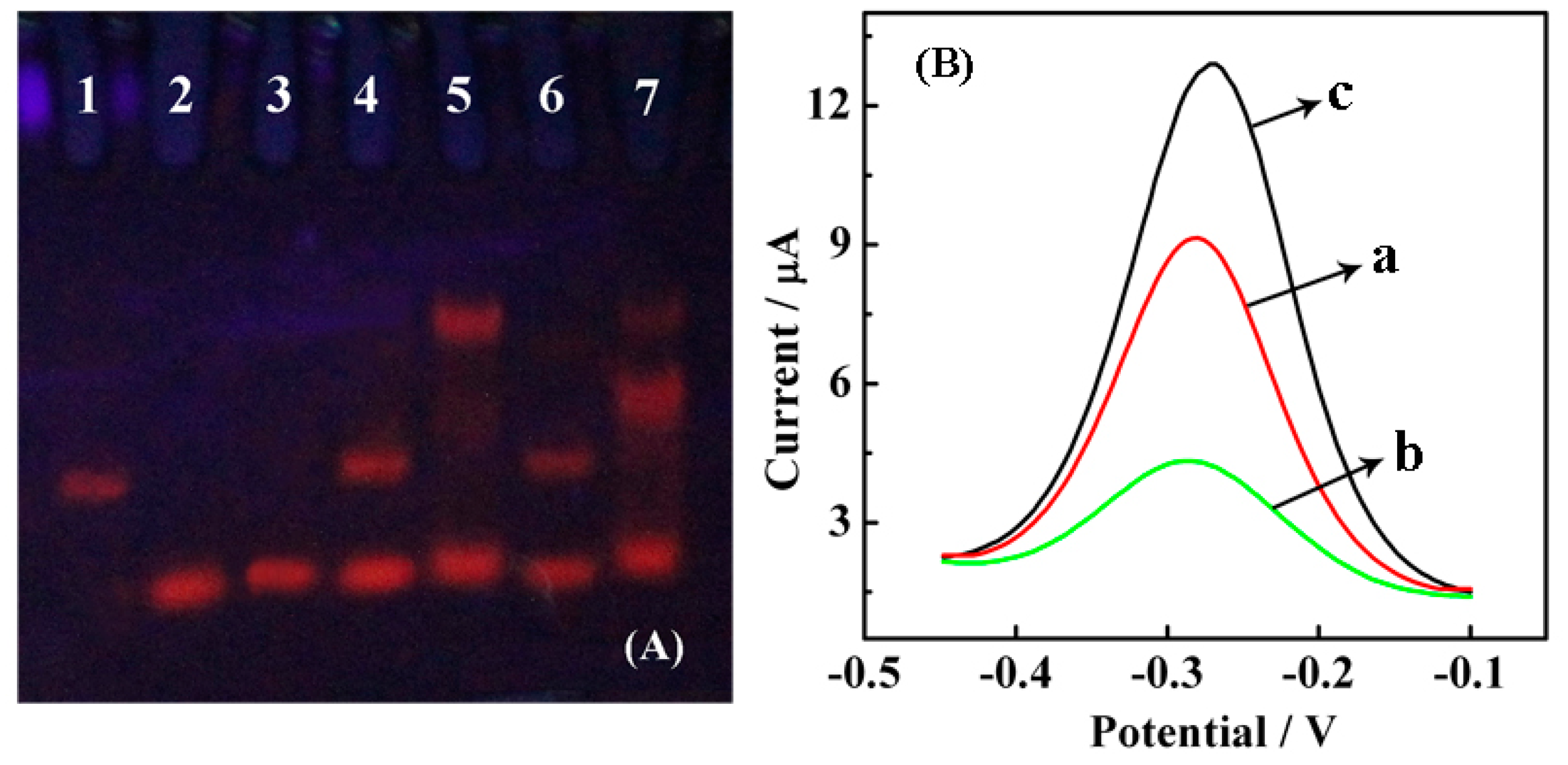 Sensors 15 02629f2 1024