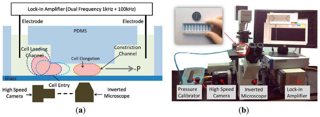 Sensors 15 02763f1 1024