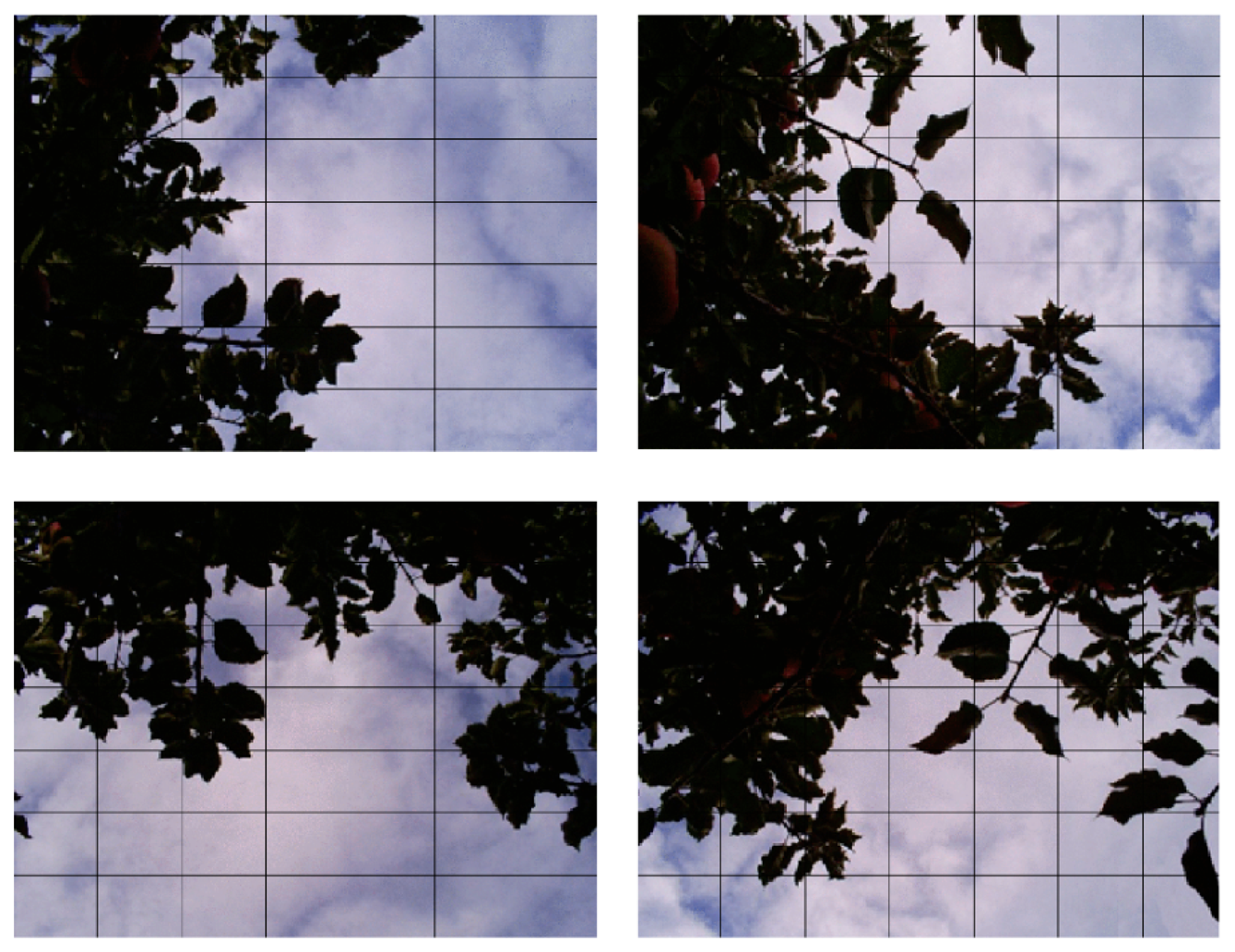 Sensors 15 02860f1 1024