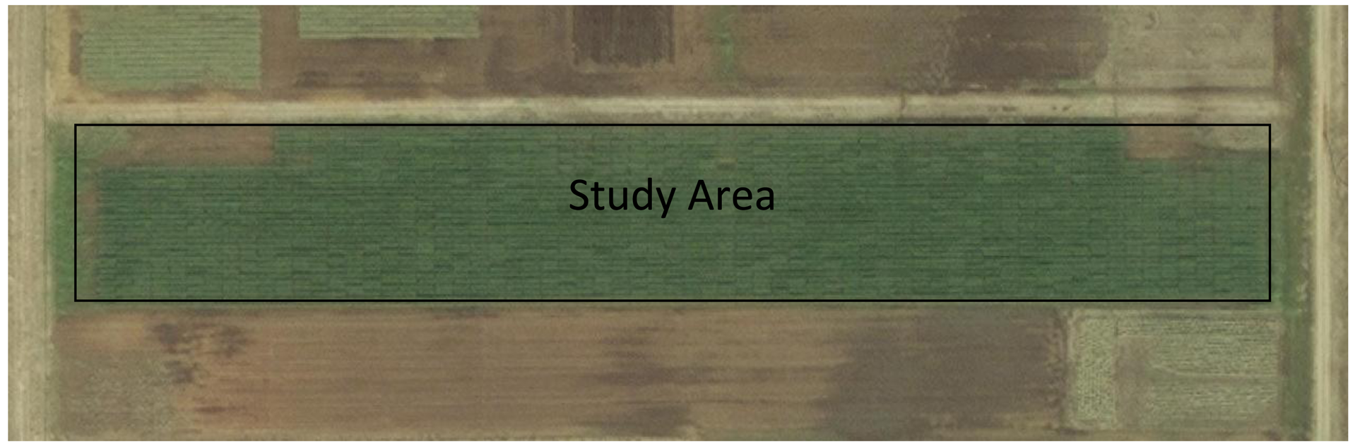 Sensors 15 02920f3 1024