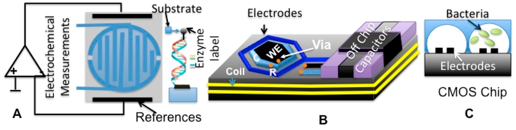 Sensors 15 03236f11 1024