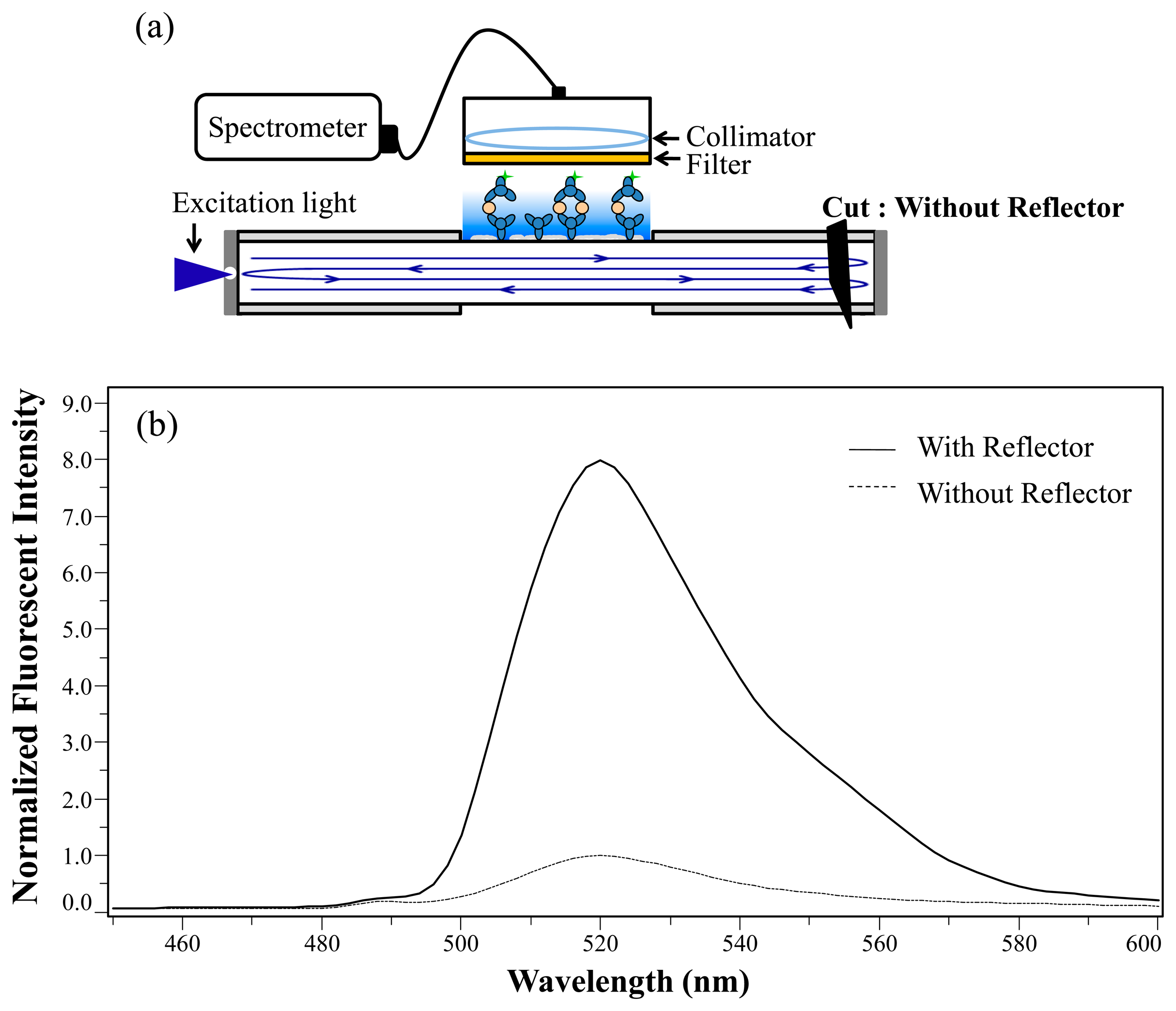 Sensors Free FullText Amplification of the Signal Intensity of