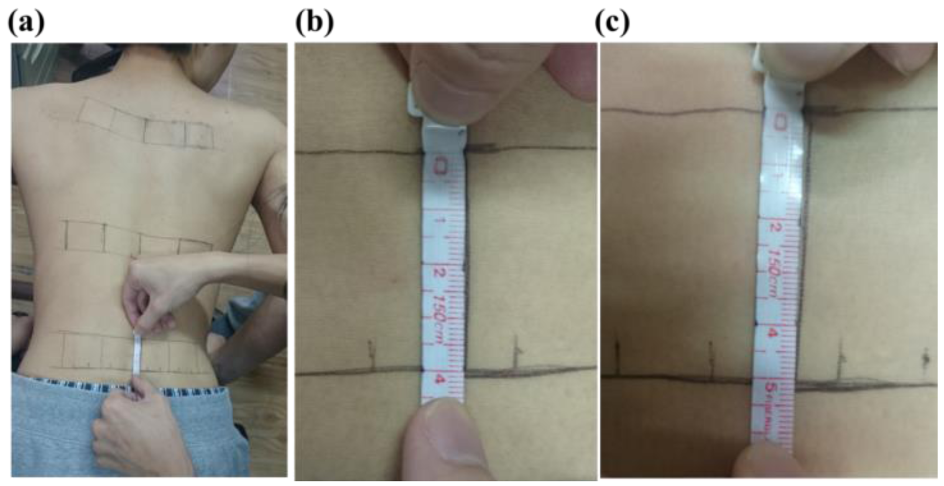 Sensors 15 03975f4 1024