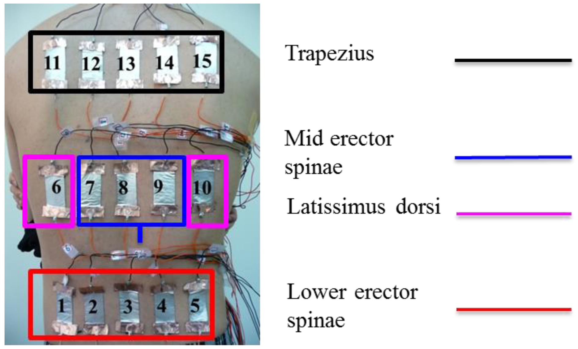 Sensors 15 03975f6 1024