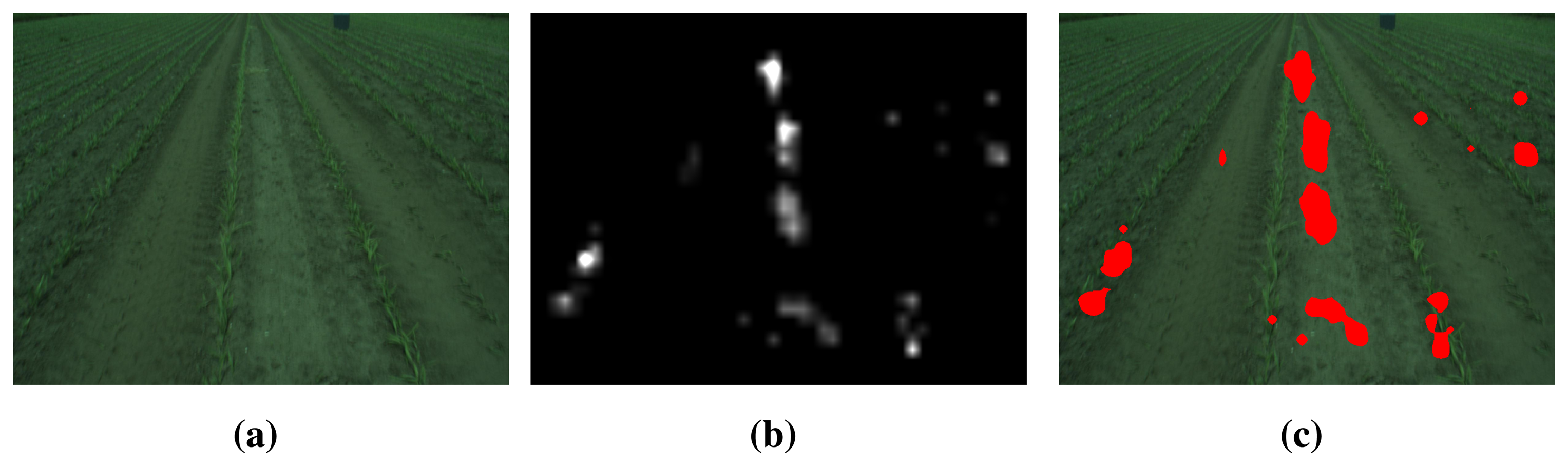 Sensors 15 05096f6 1024