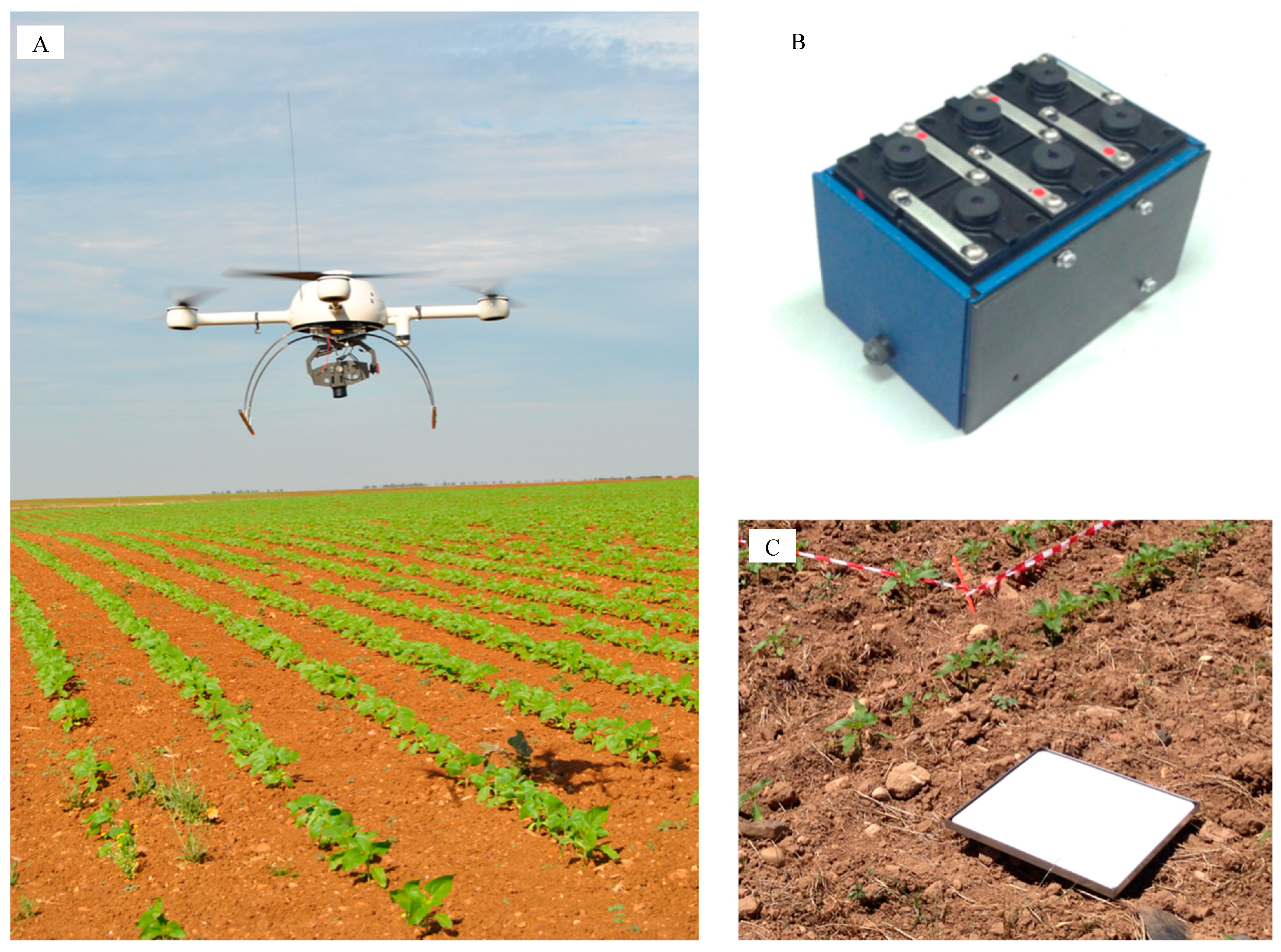 Sensors 15 05609 g001