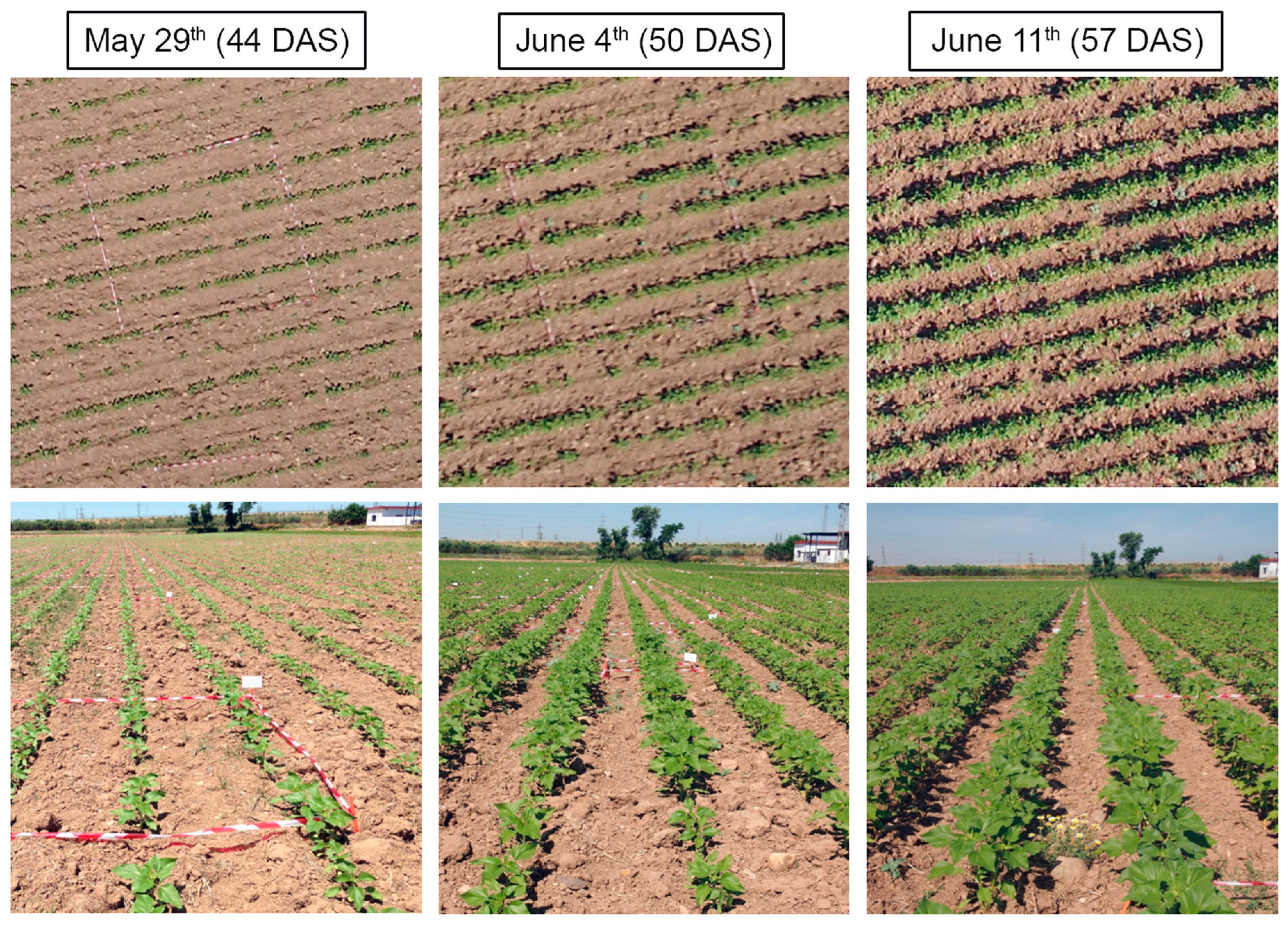Sensors 15 05609 g002