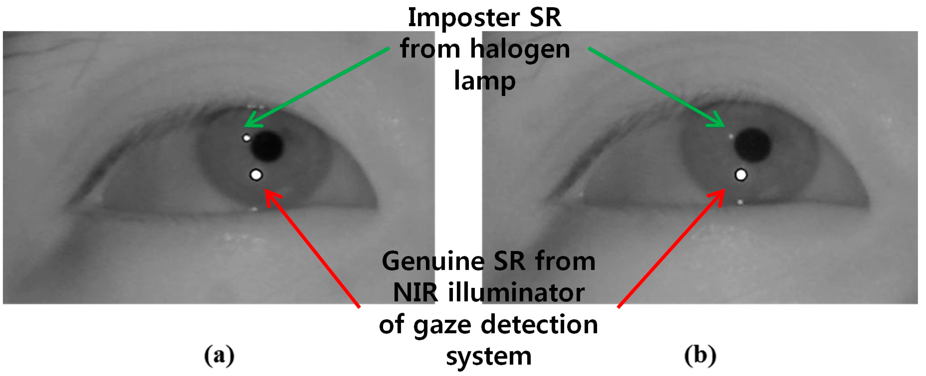 Sensors 15 05935 g002 1024