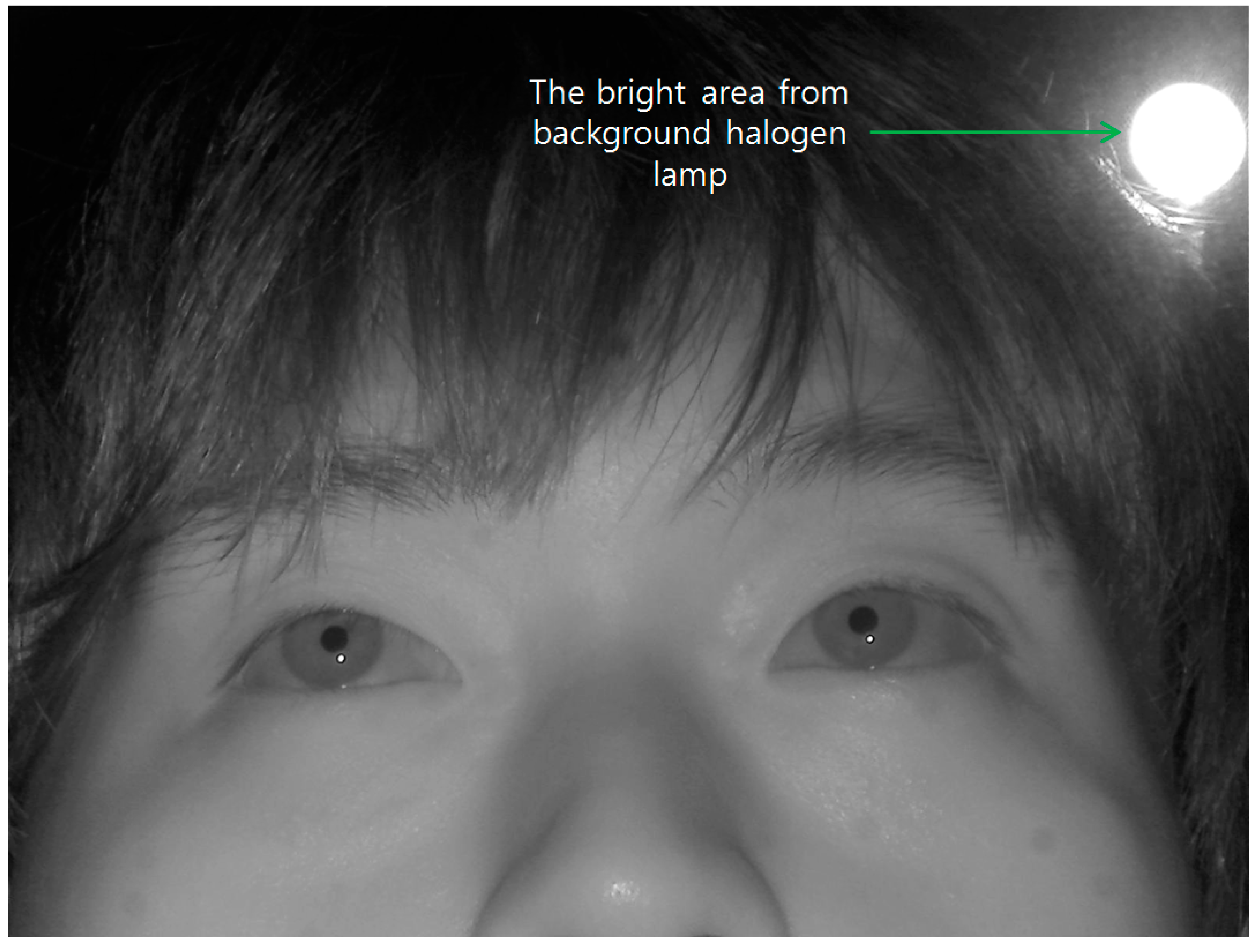 Sensors 15 05935 g004 1024