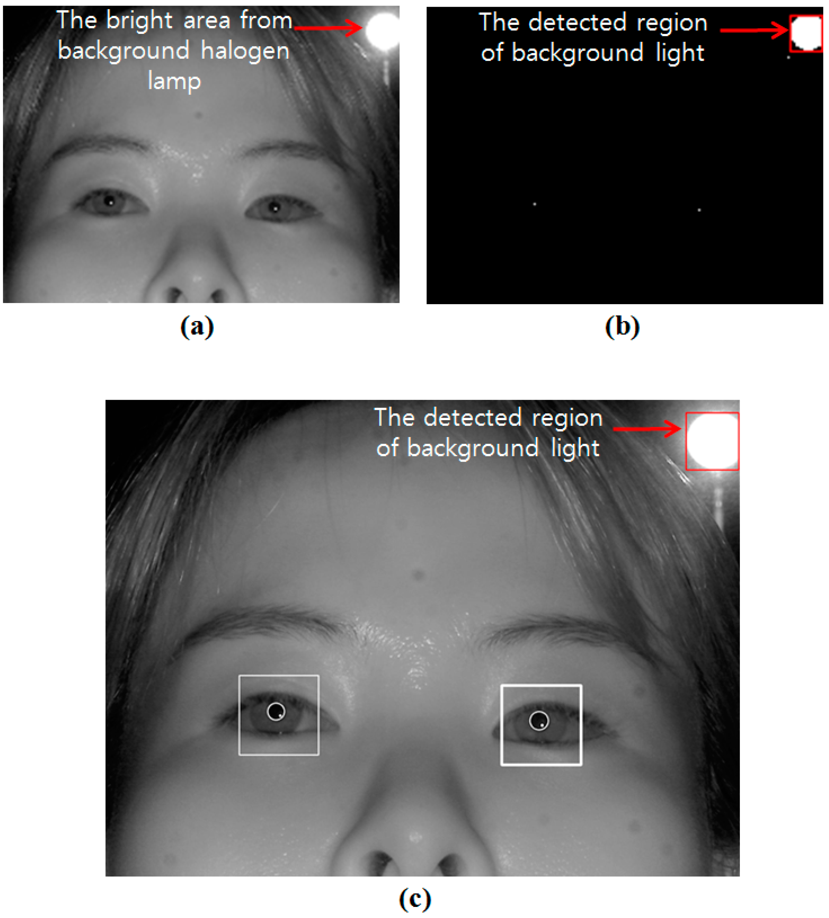 Sensors 15 05935 g006 1024