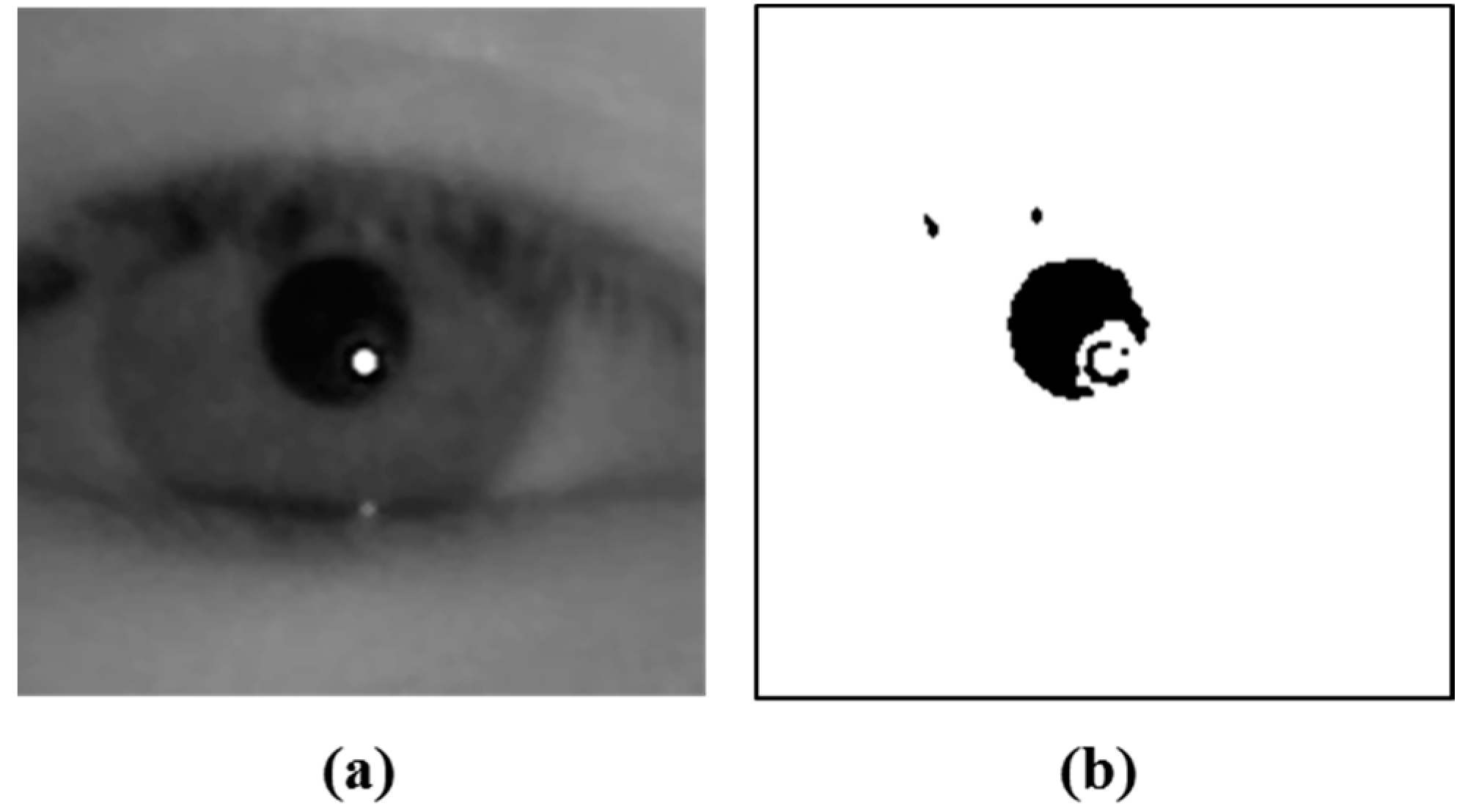 Sensors 15 05935 g009 1024