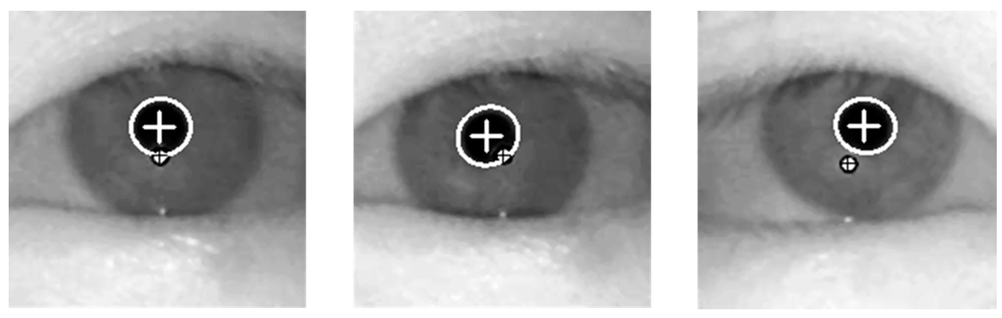 Sensors 15 05935 g010 1024