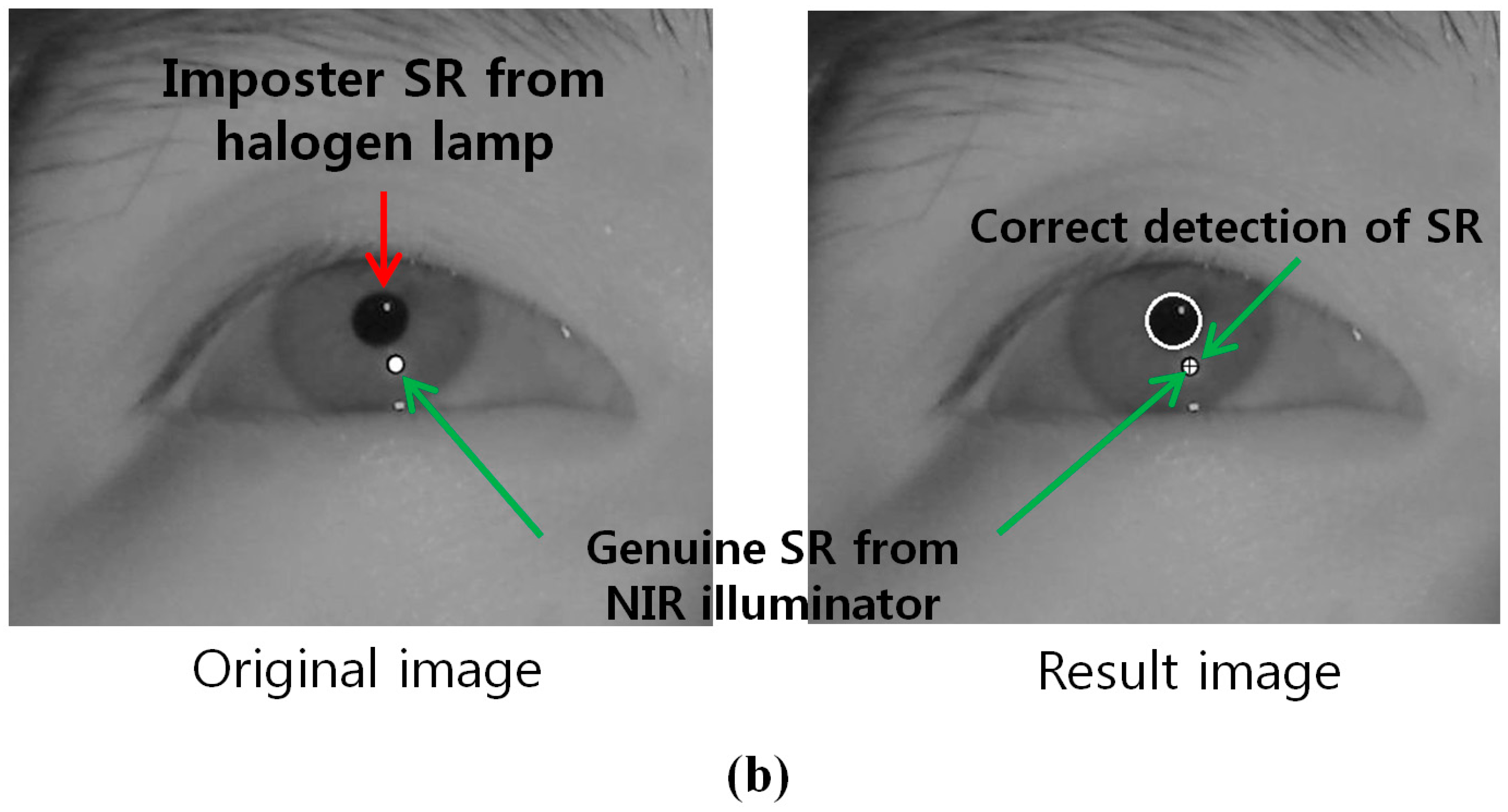 Sensors 15 05935 g020b 1024
